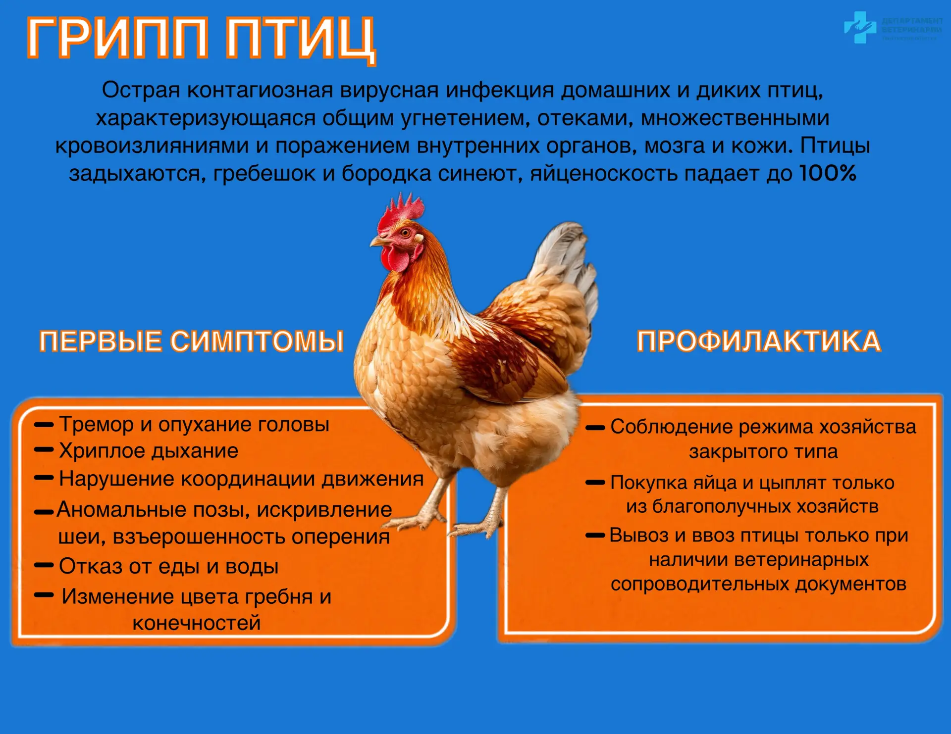 ГРИПП ПТИЦ — острая инфекционная, особо опасная болезнь, передаваемая человеку от животных, возбудит
