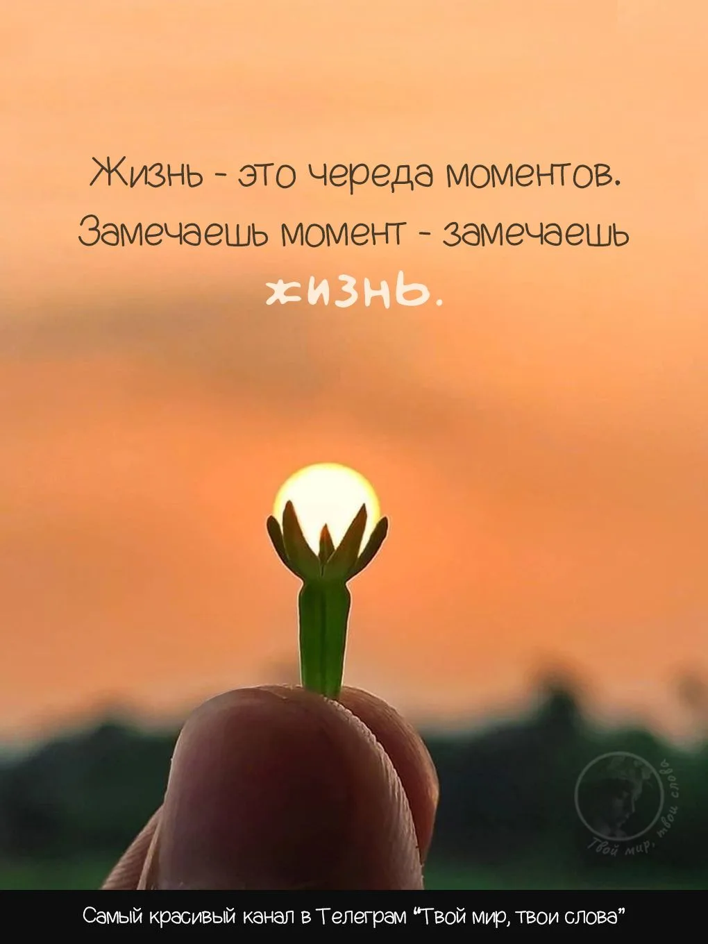 Доброго дня всем☀❤☀
Пусть всё будет хорошо.
