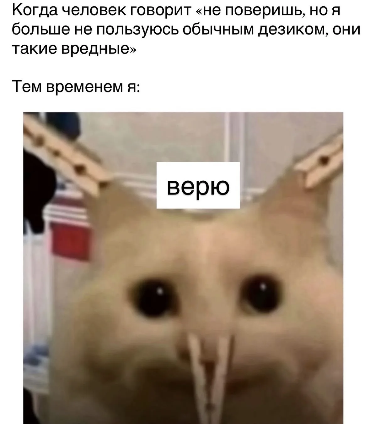 Верю
