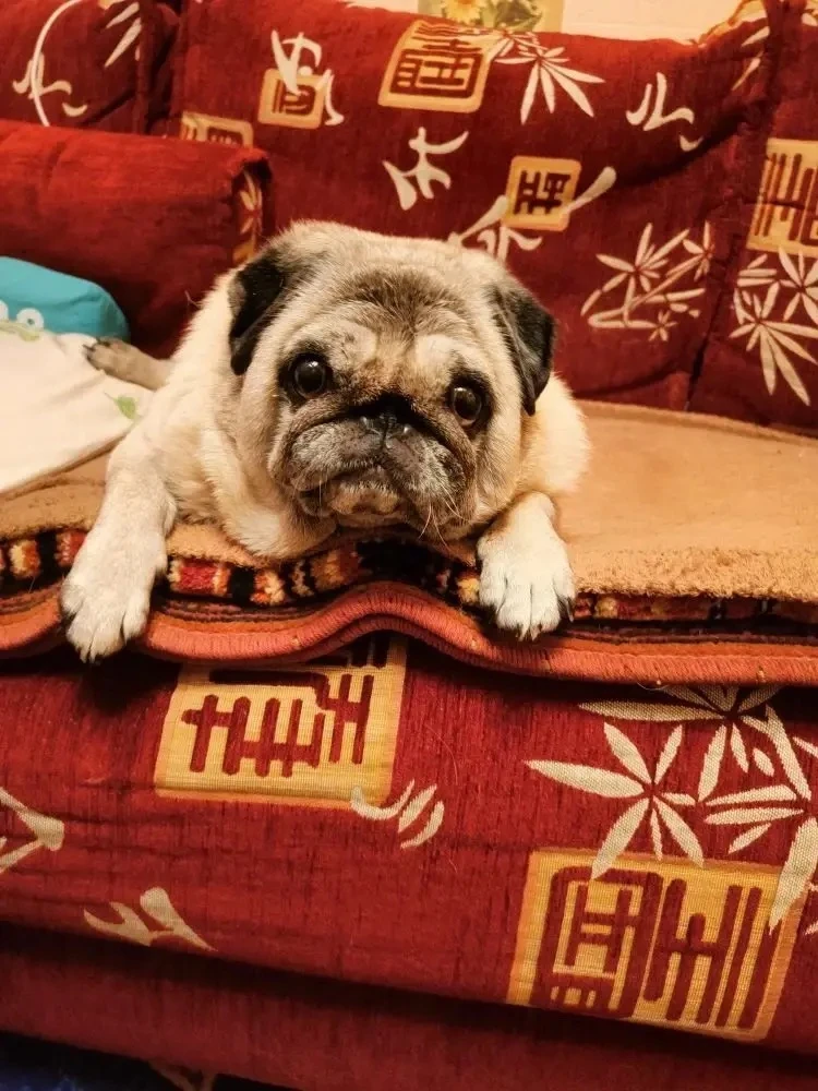 Это дуся ей 10 лет.