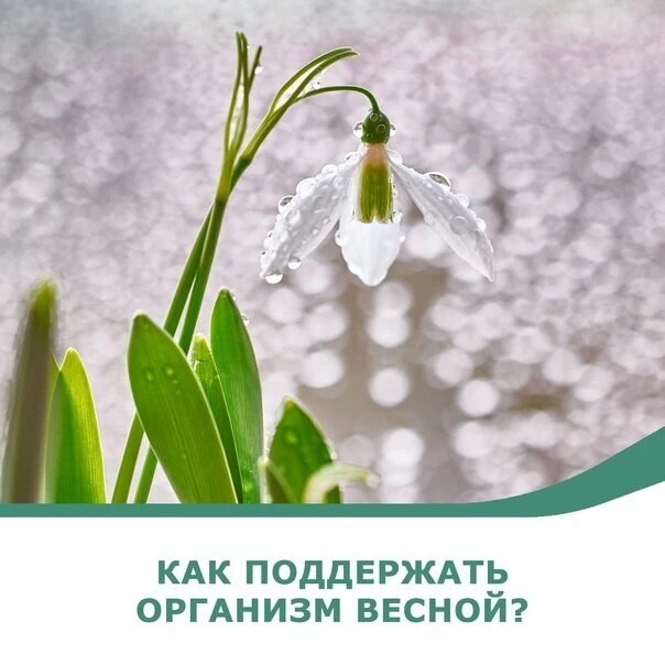 ♥️ Составили гайд, который поможет укрепить здоровье весной!

1️⃣ Регулярный сон 7–9 часов. Во вре
