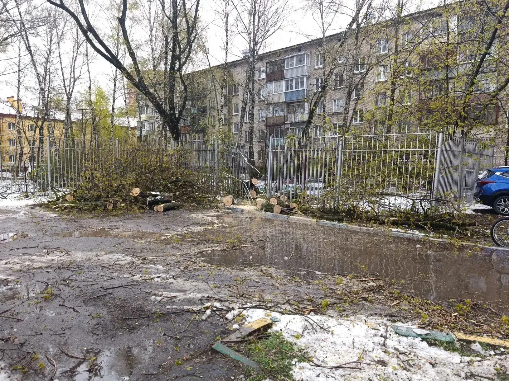 Дерево, упавшее с соседней территории сегодня утром, убрано и распилено, будет вывезено в ближайшие 