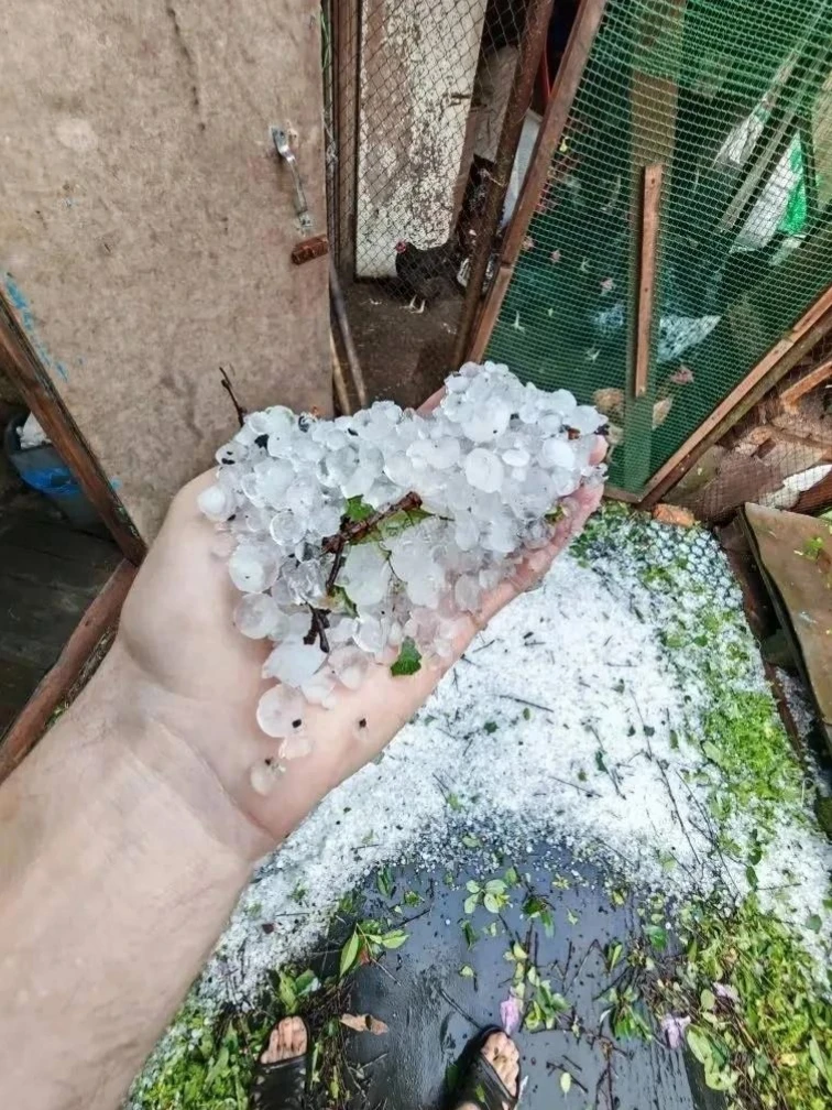🌨️Вот такой сегодня прошел град в с. Приосколье

📩Прислать новость

✔️Подписаться