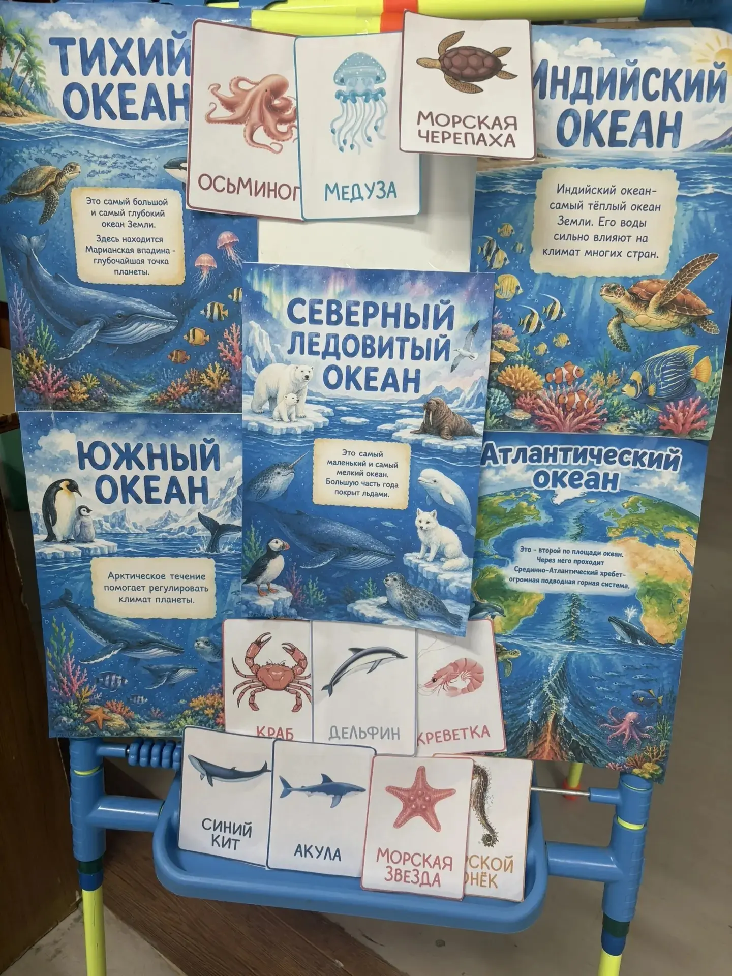 🔥 Началась новая неделя в нашем пришкольном лагере "Волжане".

🐠 Сегодняшний день был посвящен Дню