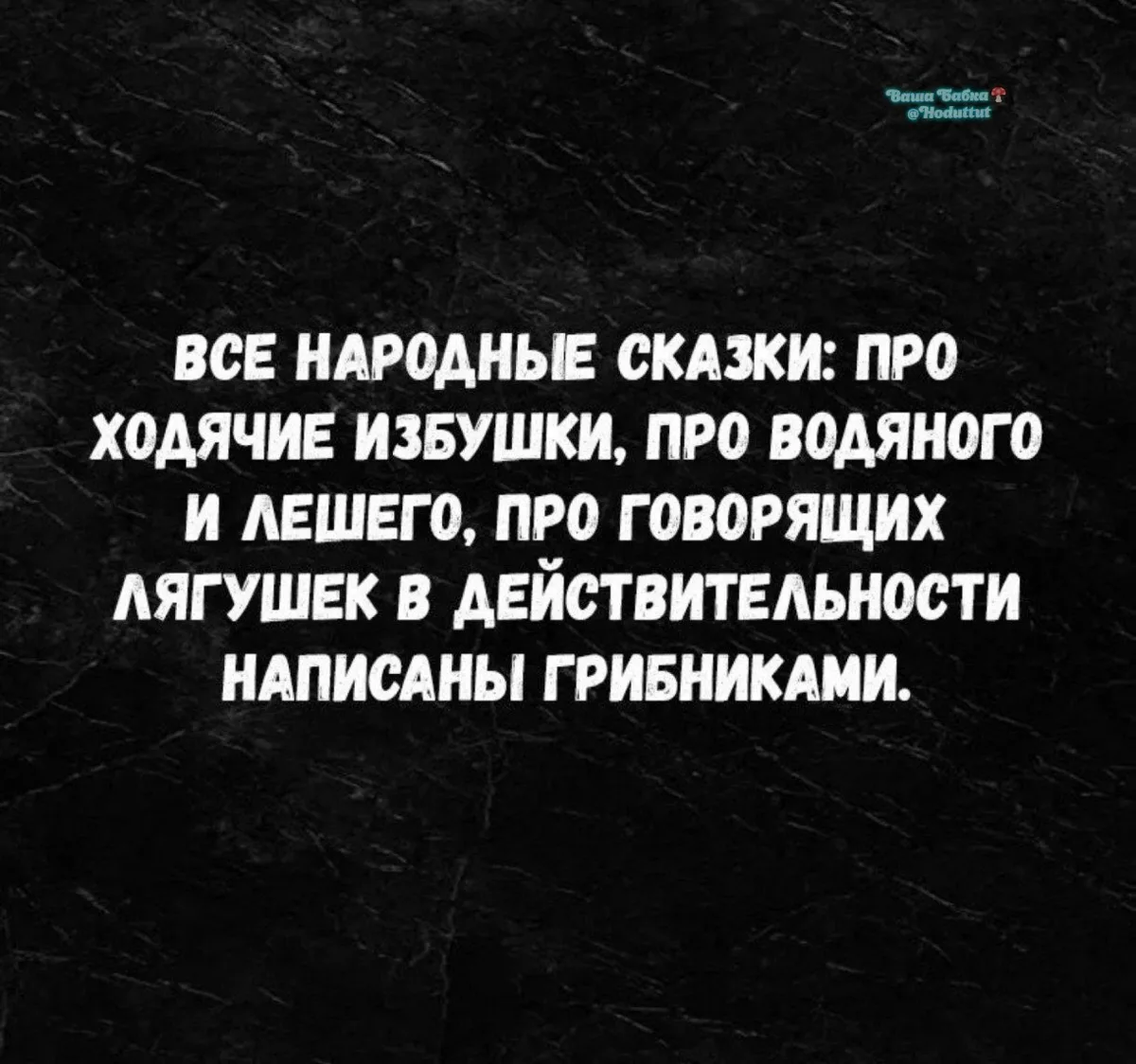 Съевшими не те грибочки...

Ваша Бабка🍄 @Hoduttut
