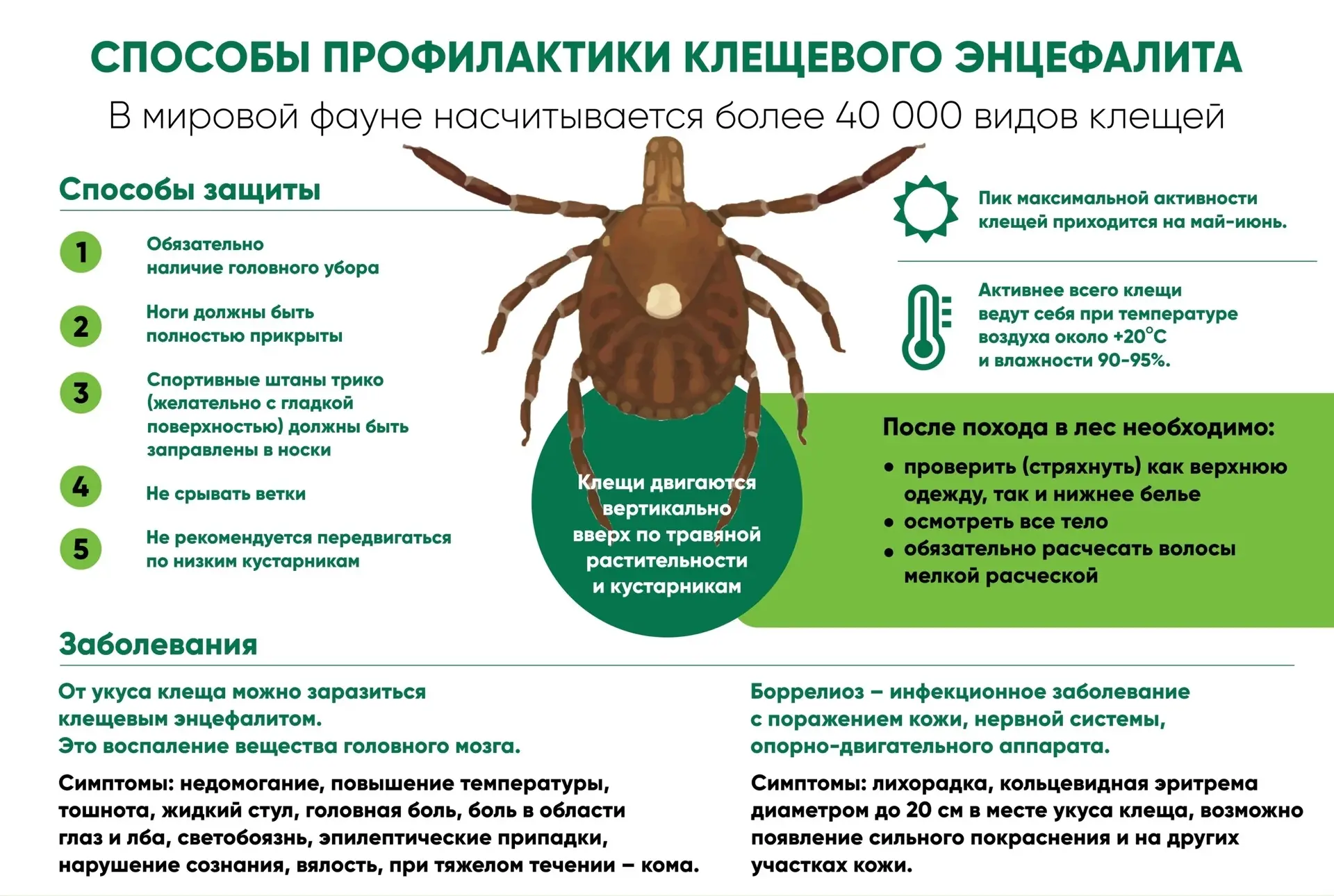 Напоминаем!