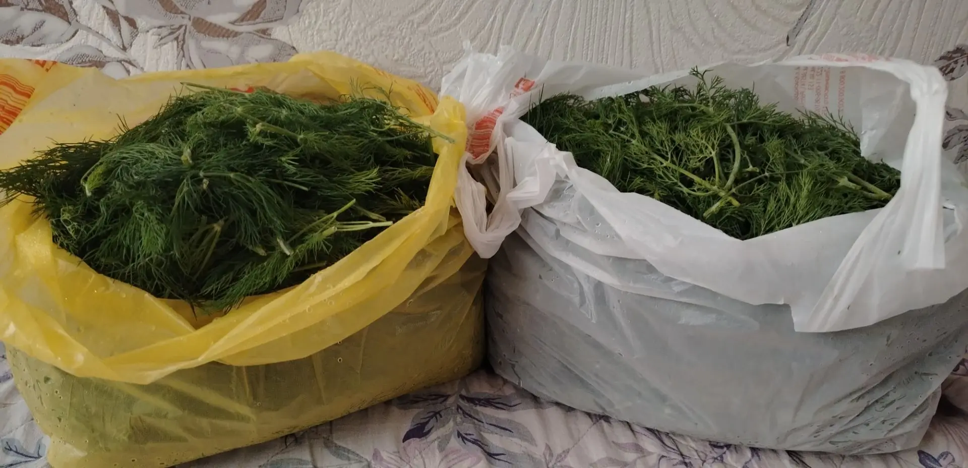 Продам укроп. За два пакета 500 руб. Вес 2,600. Тел 89228776124.