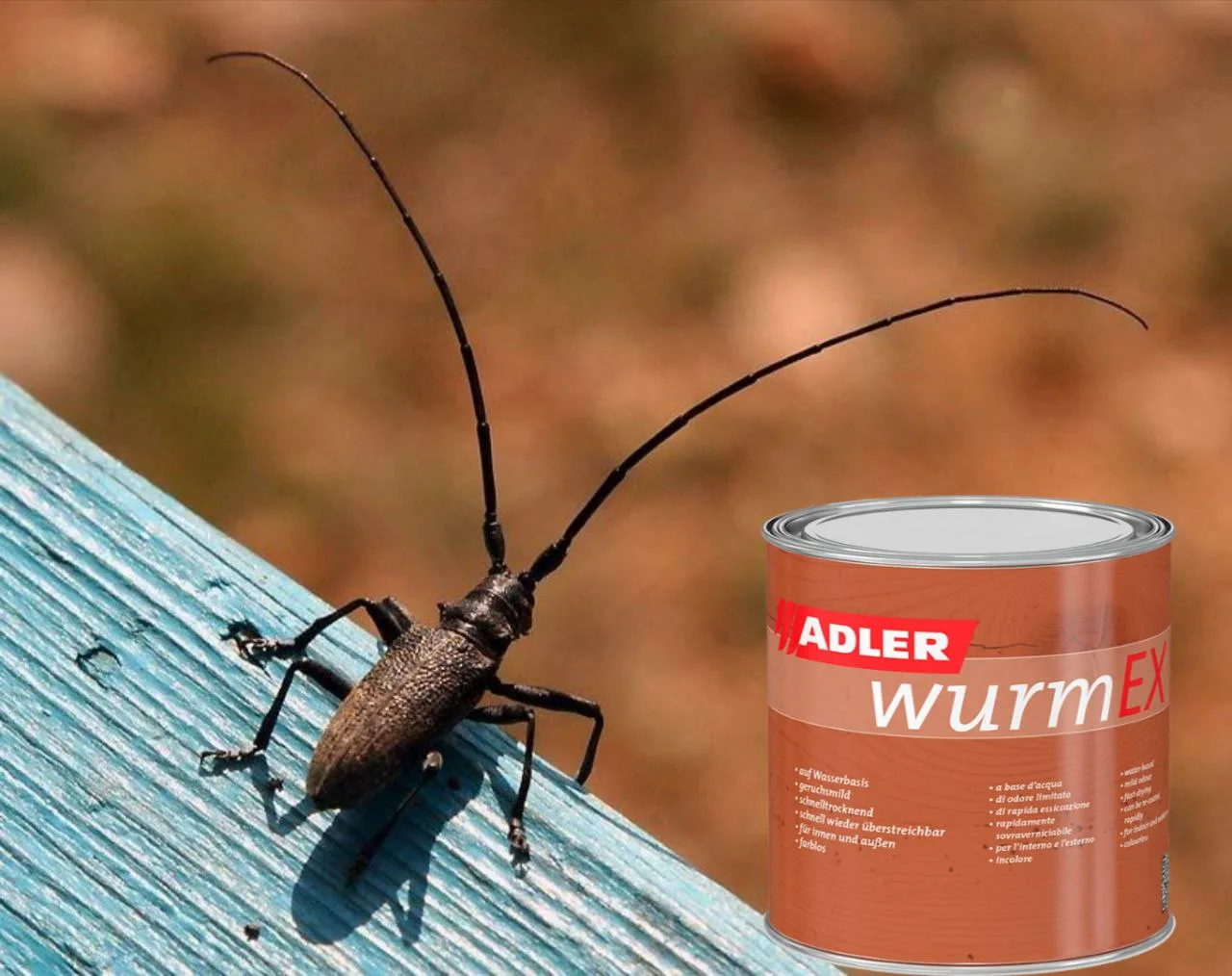 Защитите свой дом от насекомых с помощью ADLER WurmEx.

ADLER WurmEx — это эффективное и экологическ