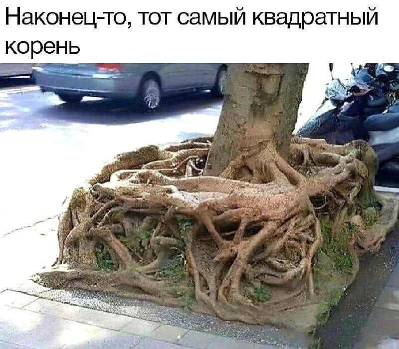 #юмор 

Хотя, глядя на фото, я не согласен. Это кусок кубического корня. 😄

С добрым утром.

PS Рез