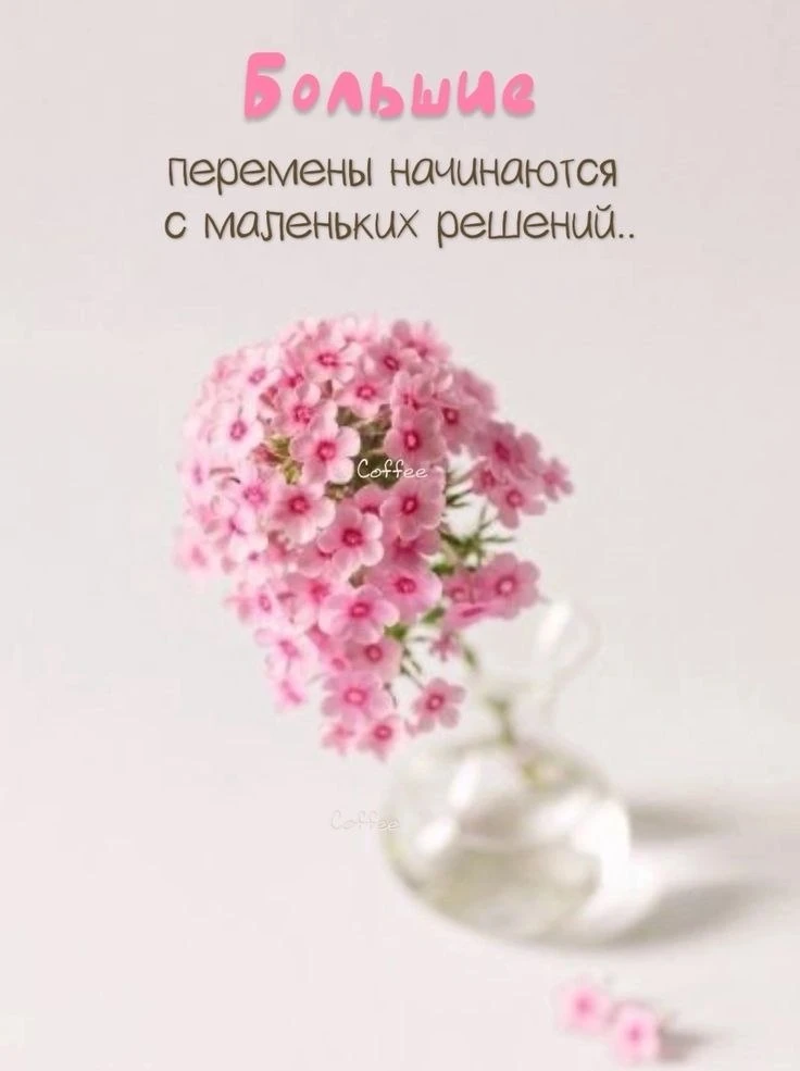 Доброе, чудесное утро!🌞

Друзья, выбирайте СВОЮ ПОДСКАЗКУ на предстоящую неделю!🕊

И делитесь в  к