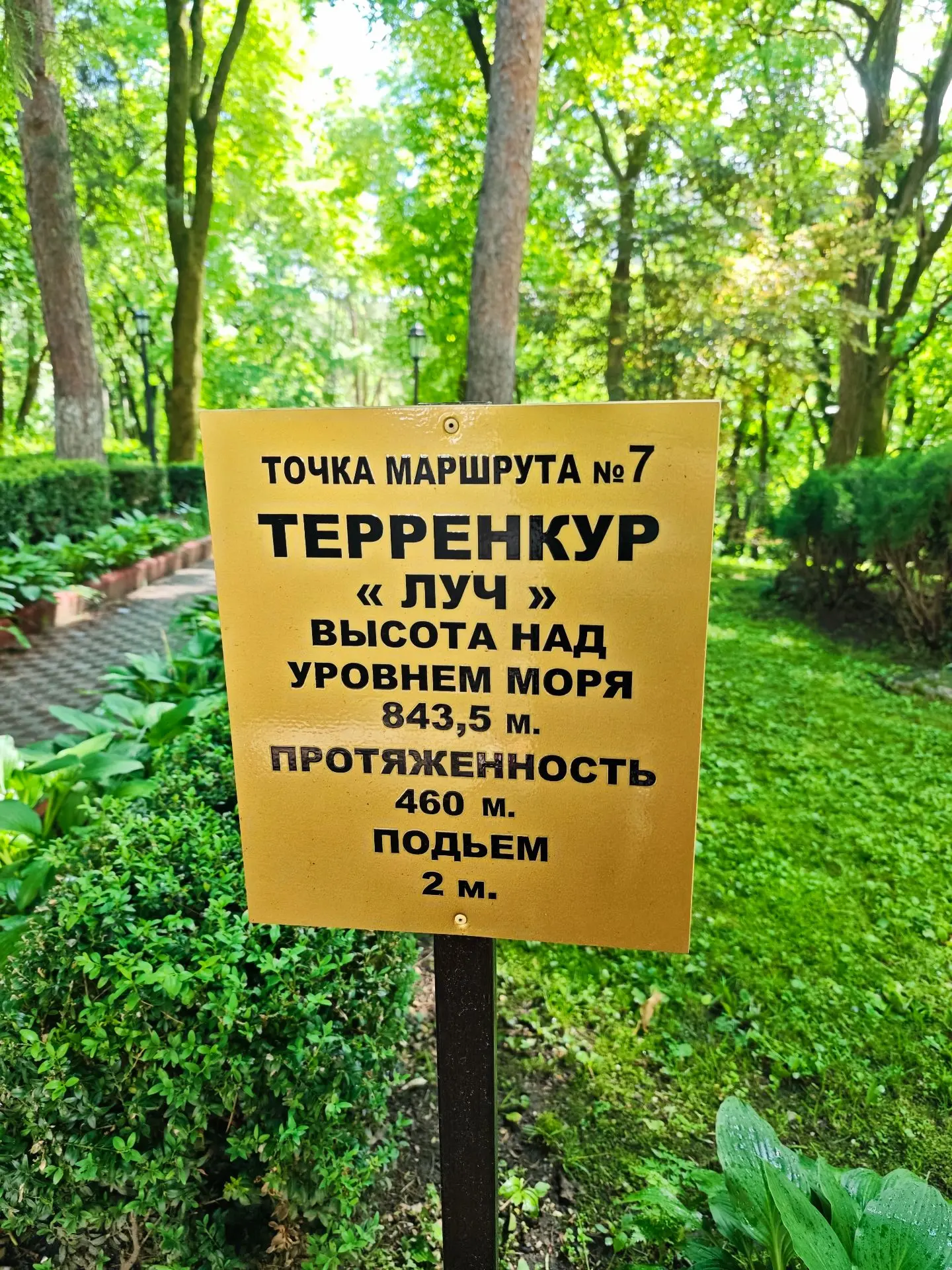 Из палаты — на свежий воздух. От болезни — к здоровью. 
  
Наш терренкур «Луч» задаёт верное направл
