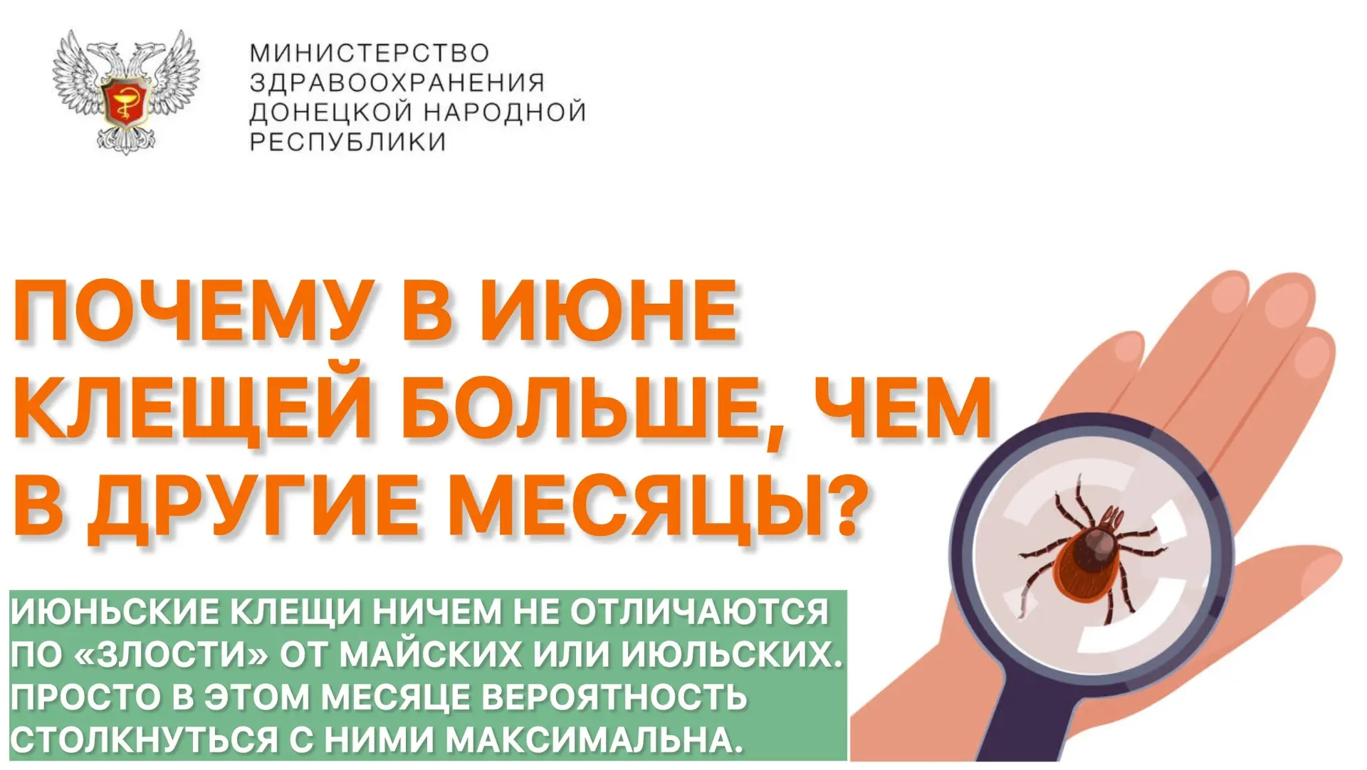 Почему в июне клещей больше, чем в другие месяцы?

🔹 Синхронный выход взрослых особей. Перезимовавш