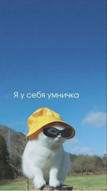 ПЕРВЫЙ ДЕНЬ ЗАЩИТЫ ДИПЛОМОВ 

Сегодня невероятно волнительный и один из самых крутых дней в жизни ка