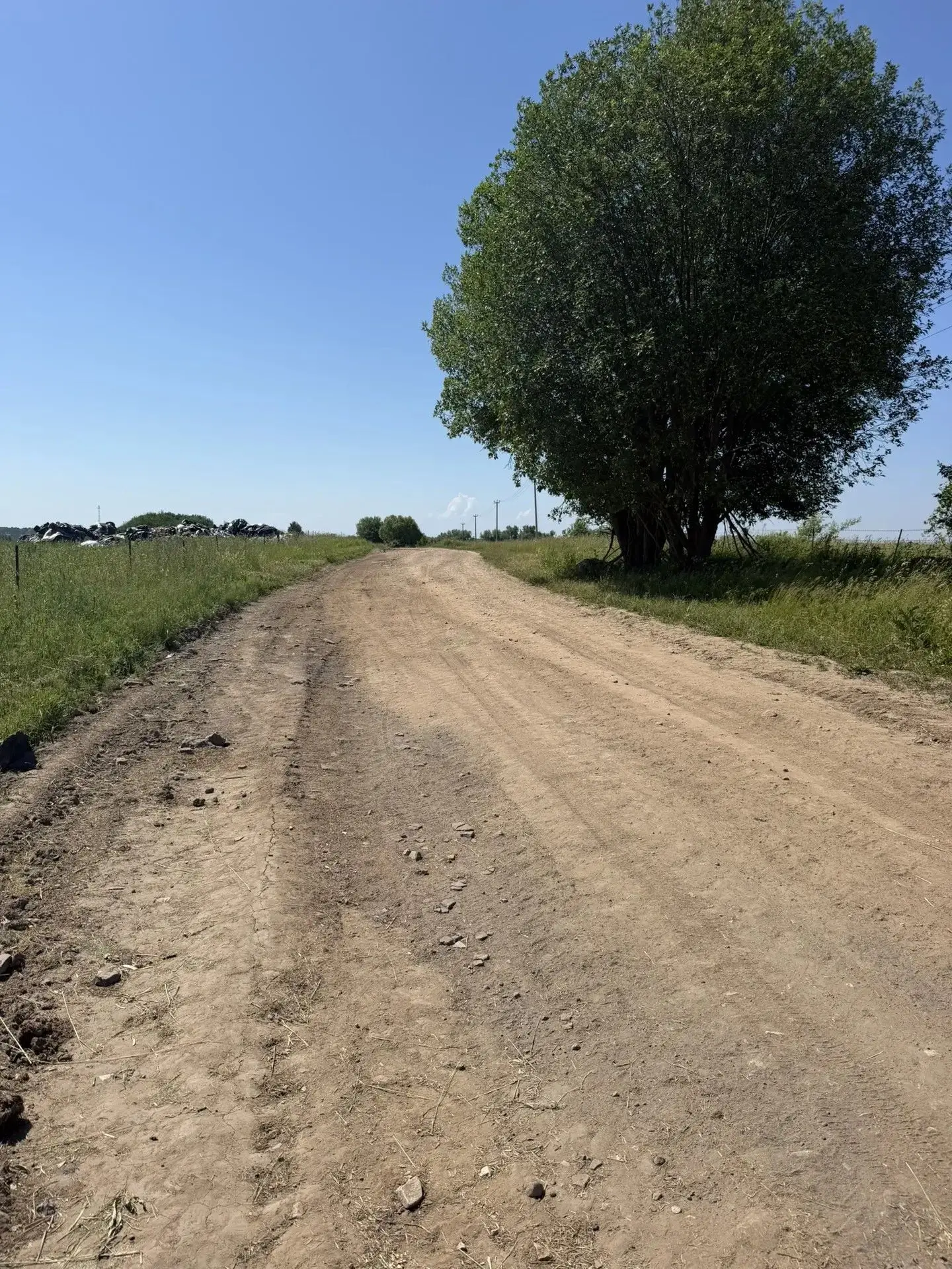 🚧 ДОРОГУ В МАРШУКОВО ПРИВЕЛИ В ПОРЯДОК

Жители деревни Маршуково не раз жаловались на разбитую доро