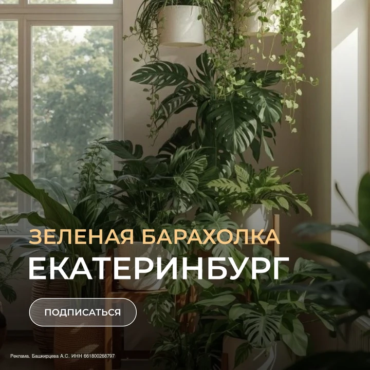 🌿Зеленая барахолка Екб — канал с объявлениями о продаже, покупке и обмене растений в Екатеринбурге.