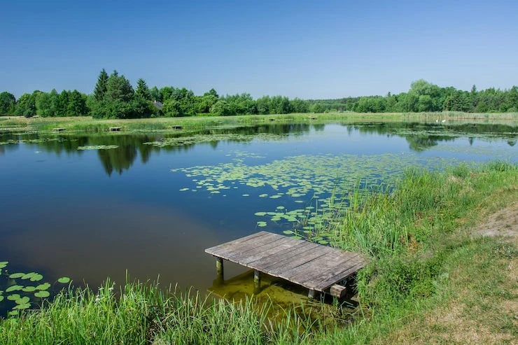 Правила поведения на водных объектах

Соблюдение правил поведения на воде — залог безопасности и при