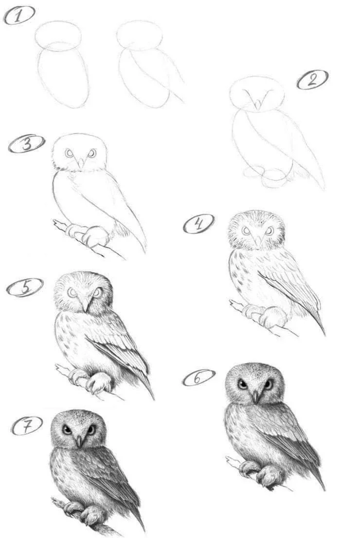 НАСТАЛО ВРЕМЯ ДЛЯ ТРЕНИРОВКИ🦉

Позвольте скрасить этот воскресный вечер и томительное ожидание стар
