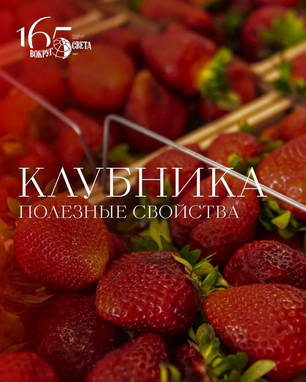 🍓 Сегодня, 18 июня, отмечается День клубники.

Рассказываем, чем полезна эта ягода для организма и 