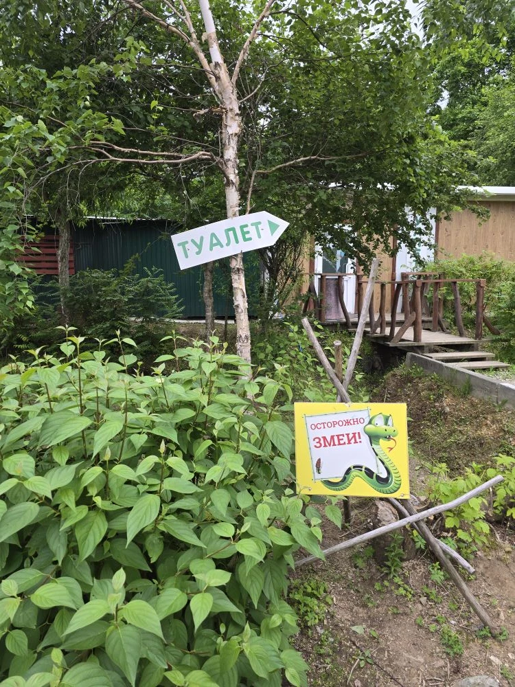 Сегодня отмечали День Рождение у двойни лучшей подруги.

Ох уж эти родные и давно забытые вайбы))))
