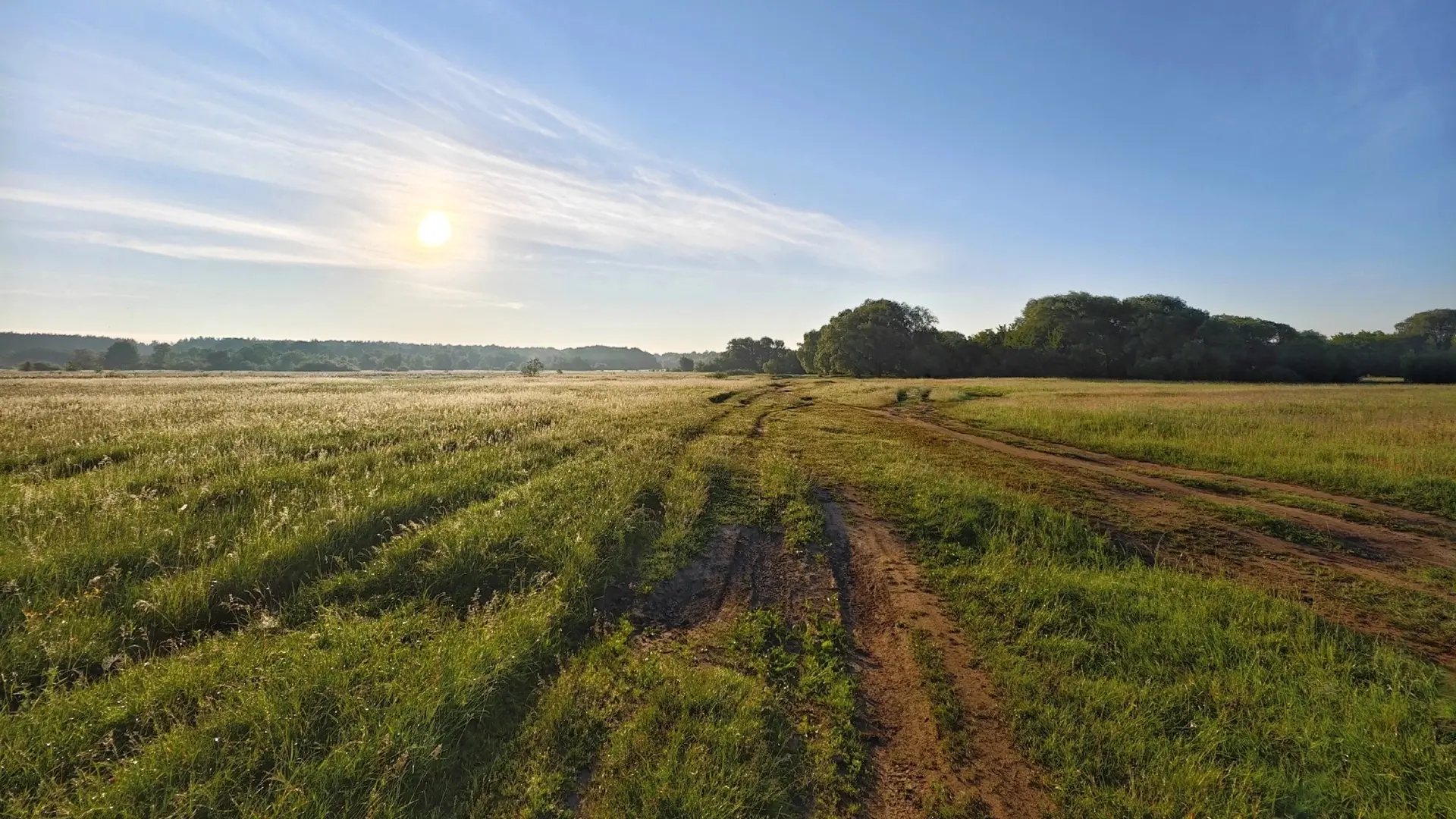 Окрестности Сальских степей 🌾
