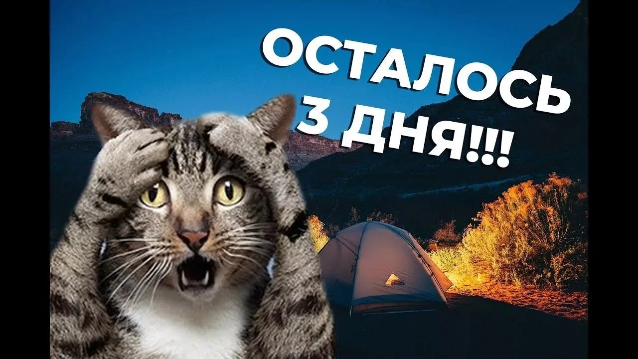 До очередной нашей поездки в зону СВО 👆