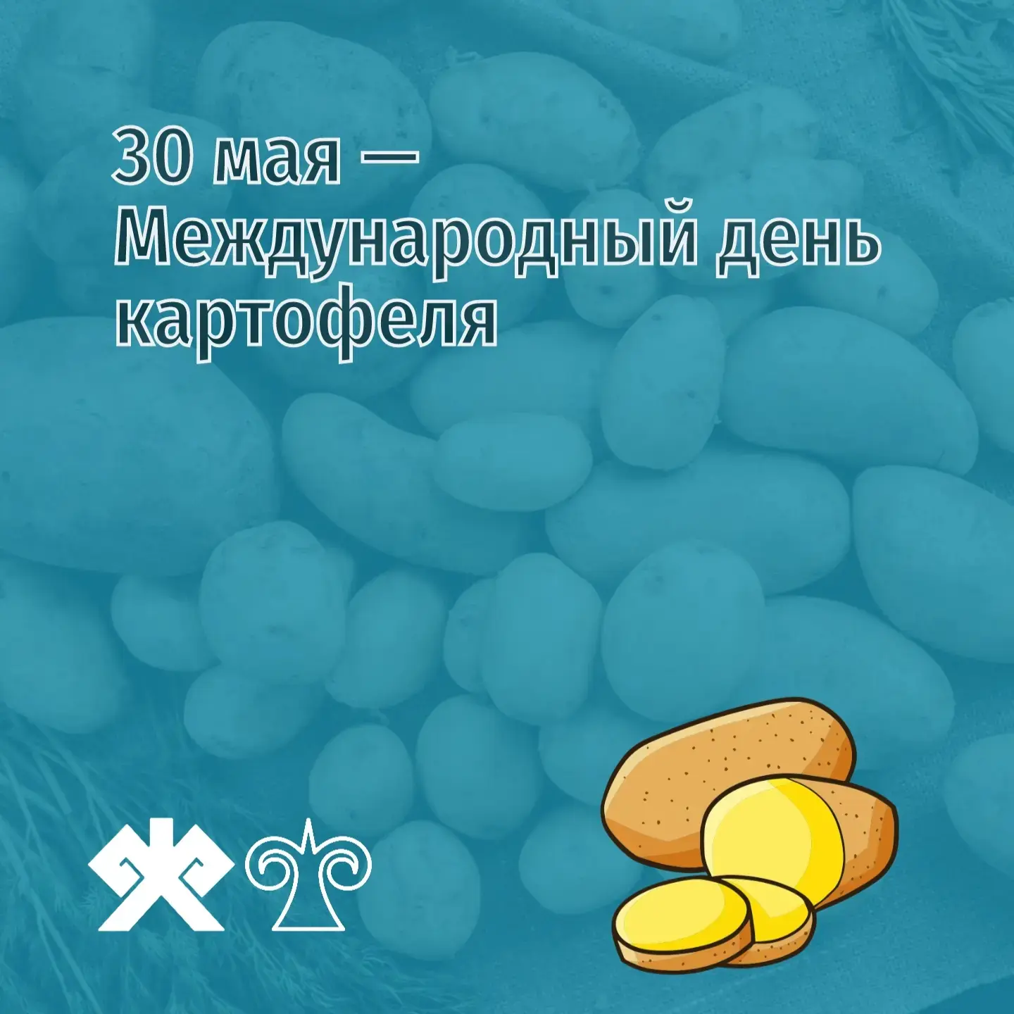 30 мая — Международный день картофеля — праздник, учреждённый Генеральной Ассамблеей ООН по инициати