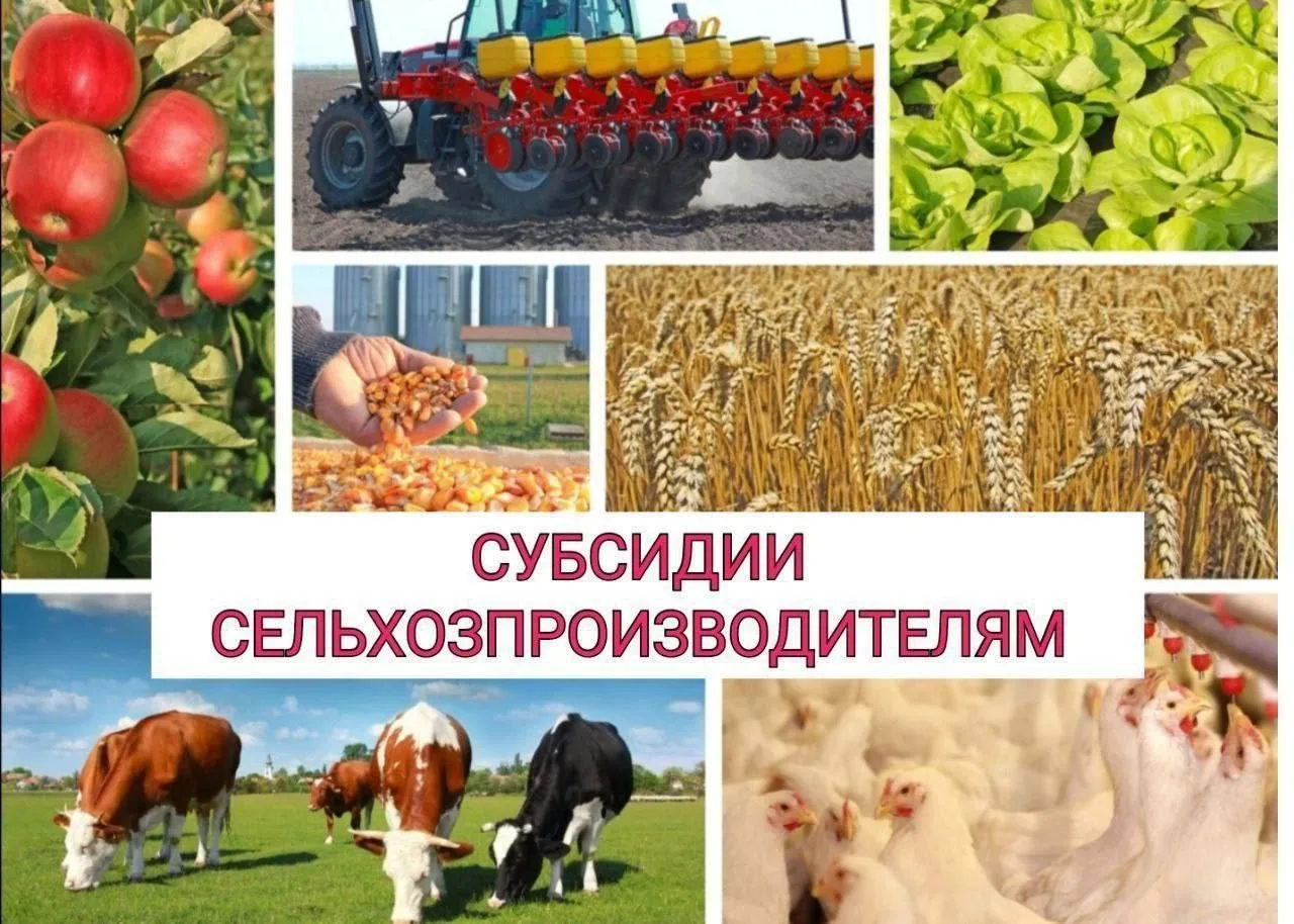 Уважаемые сельхозтоваропроизводители Красногвардейского сельского поселения!
Сообщаем Вам,что с 22 и