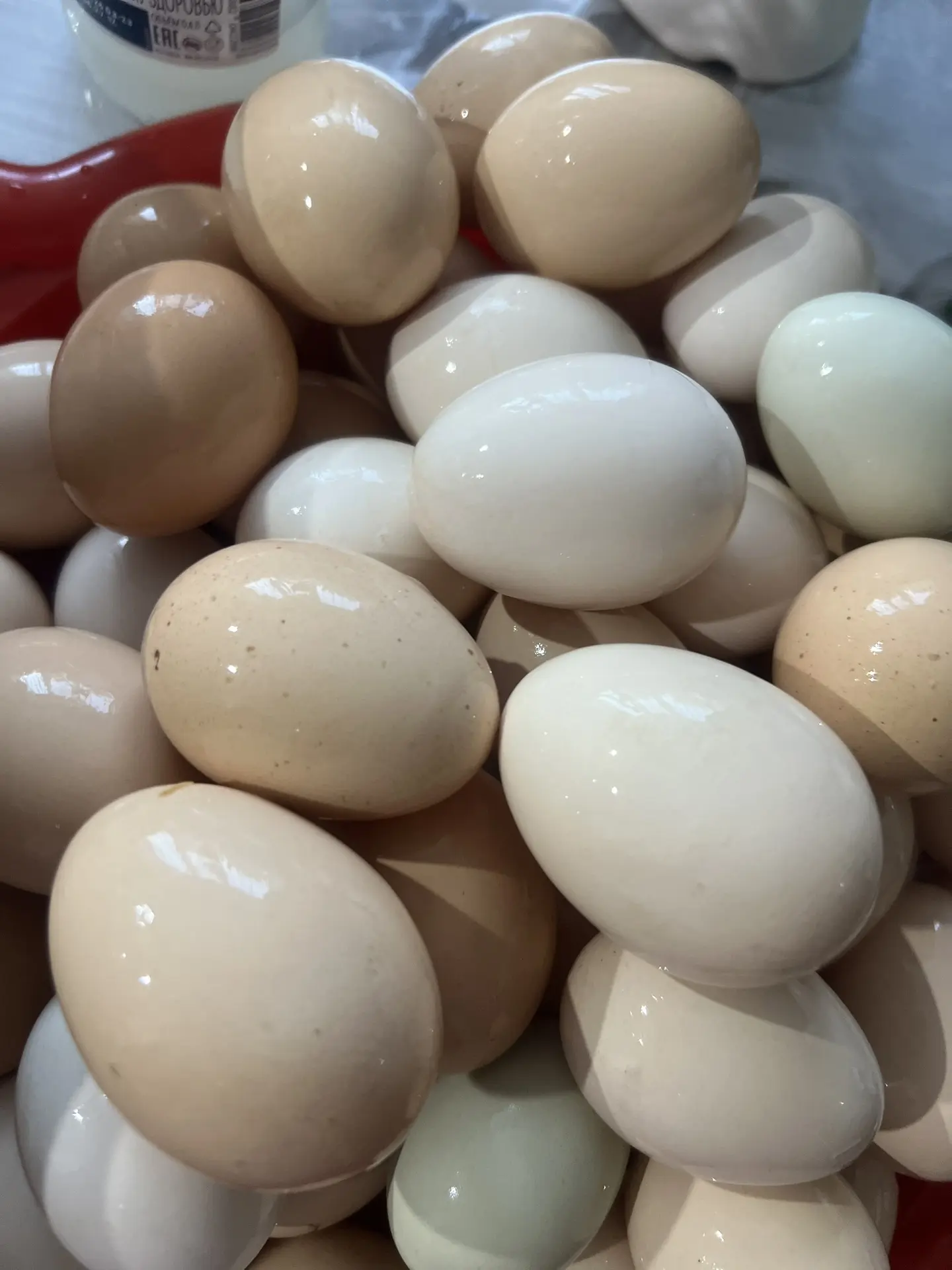 Продам домашние яйца 🥚 
90 рублей десяток 
В наличии 50 шт
Пишите в личку