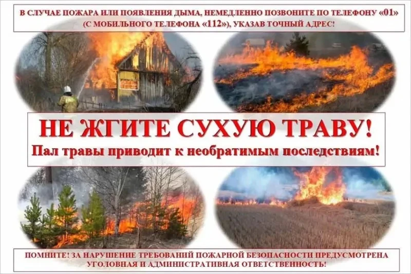 🌿 Лето-время буйства зелени, но вместе с ней приходит и сухостой, который может вспыхнуть даже от с