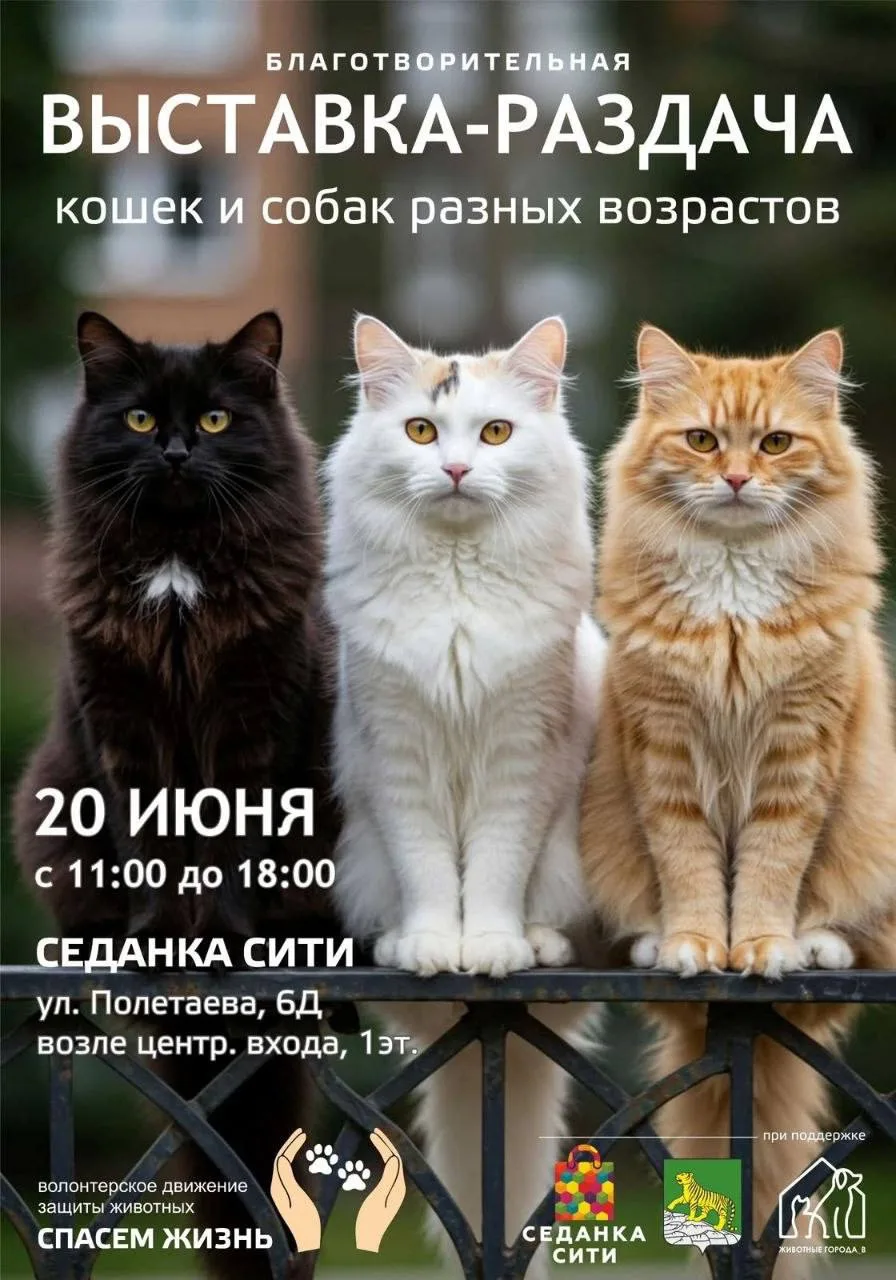 🐾Уже в эту субботу возле ТРК «Седанка Сити» состоится благотворительная выставка-раздача бездомных 