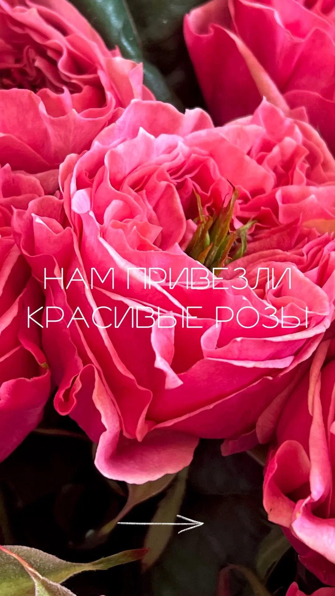 Показываем кусочек нашей красивой свежей поставки ❤️💕🌸