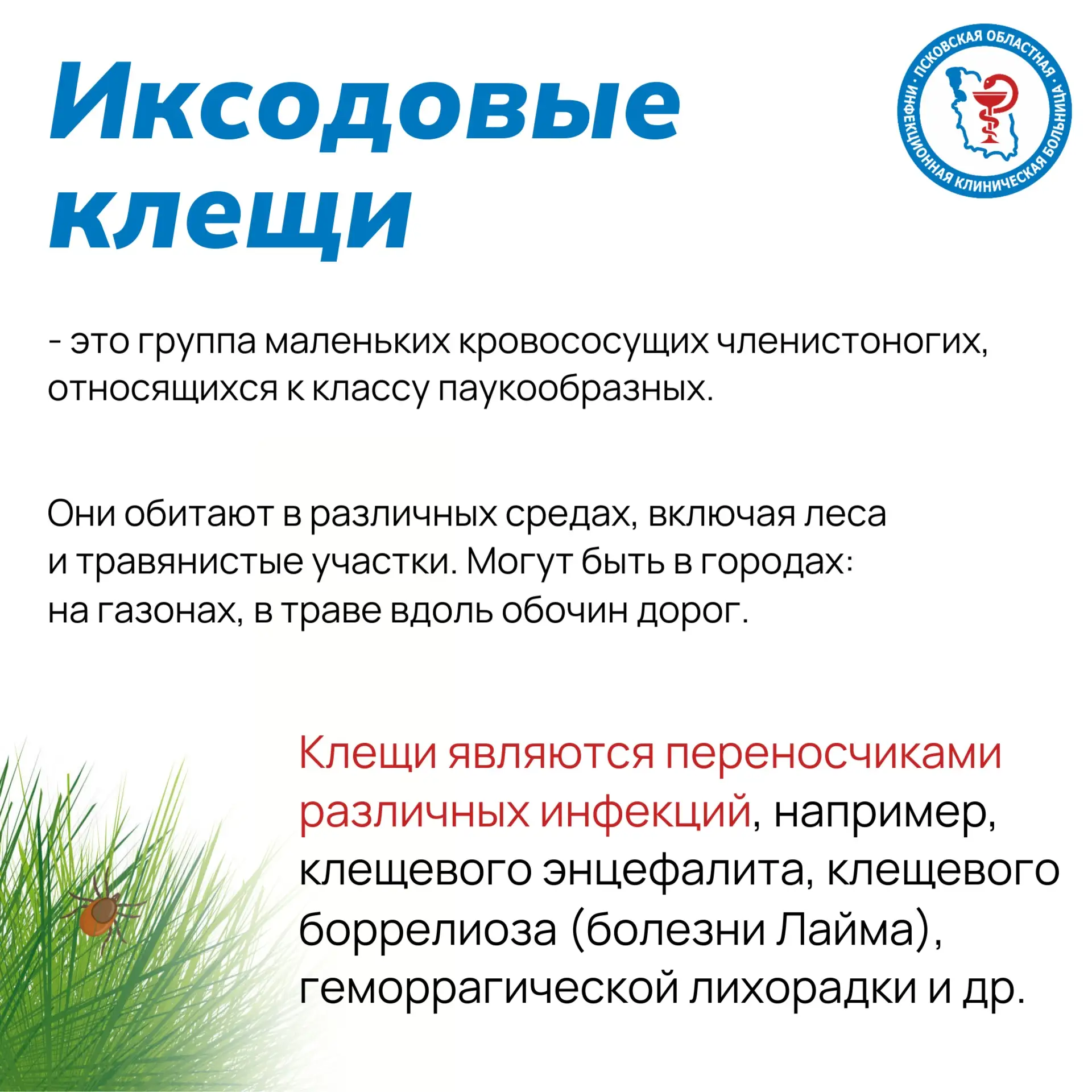 Что делать, если укусил клещ❗️