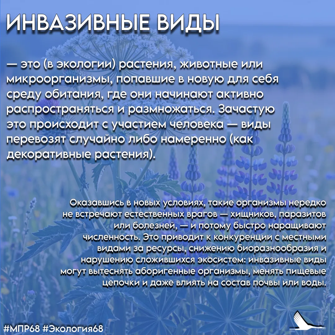 #СловарьЭколога  #ТамбовскаяОбласть #МПР68 #Экология68