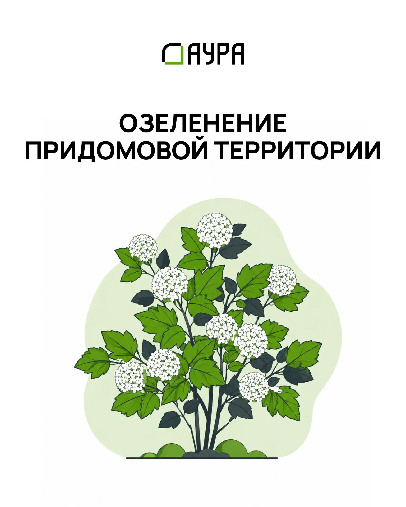 Кедровый берег становится зеленее

Работы по озеленению первой очереди ЖК уже начались. Подрядчики п