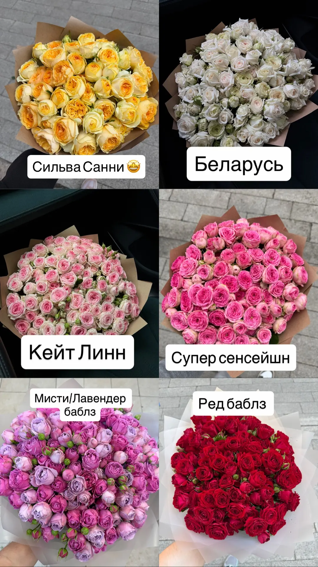 В НАЛИЧИИ ✅

Сильва Санни 
25шт -2990₽ 
51шт -5990₽ 
101шт -11990₽ 

Беларусь 
25шт -2990₽ 
51шт -59