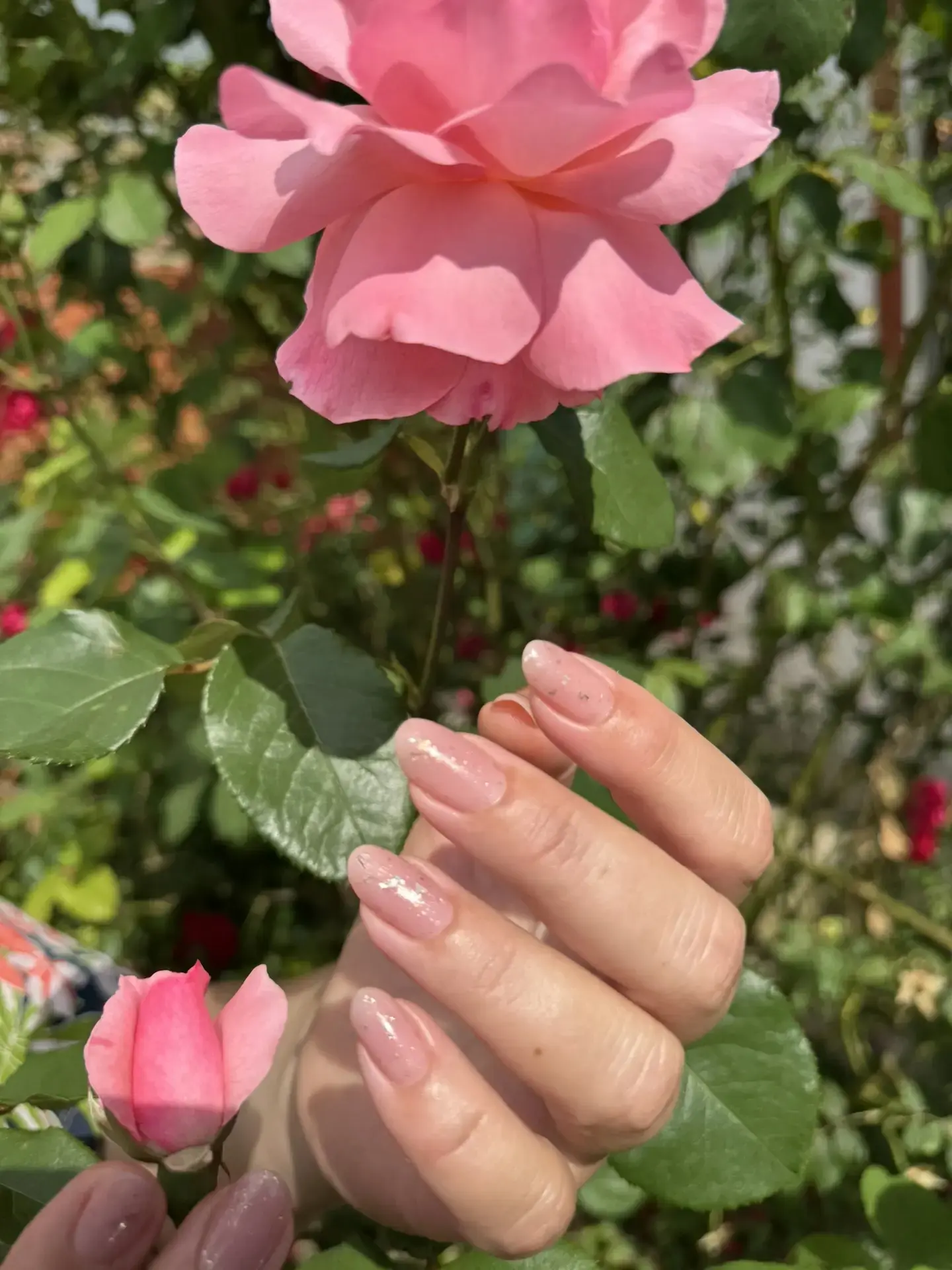 У нас сегодня ещё и фотосессия была😊в общем выходной удался❤️ теперь и на отдых можно 🥱

И вам все