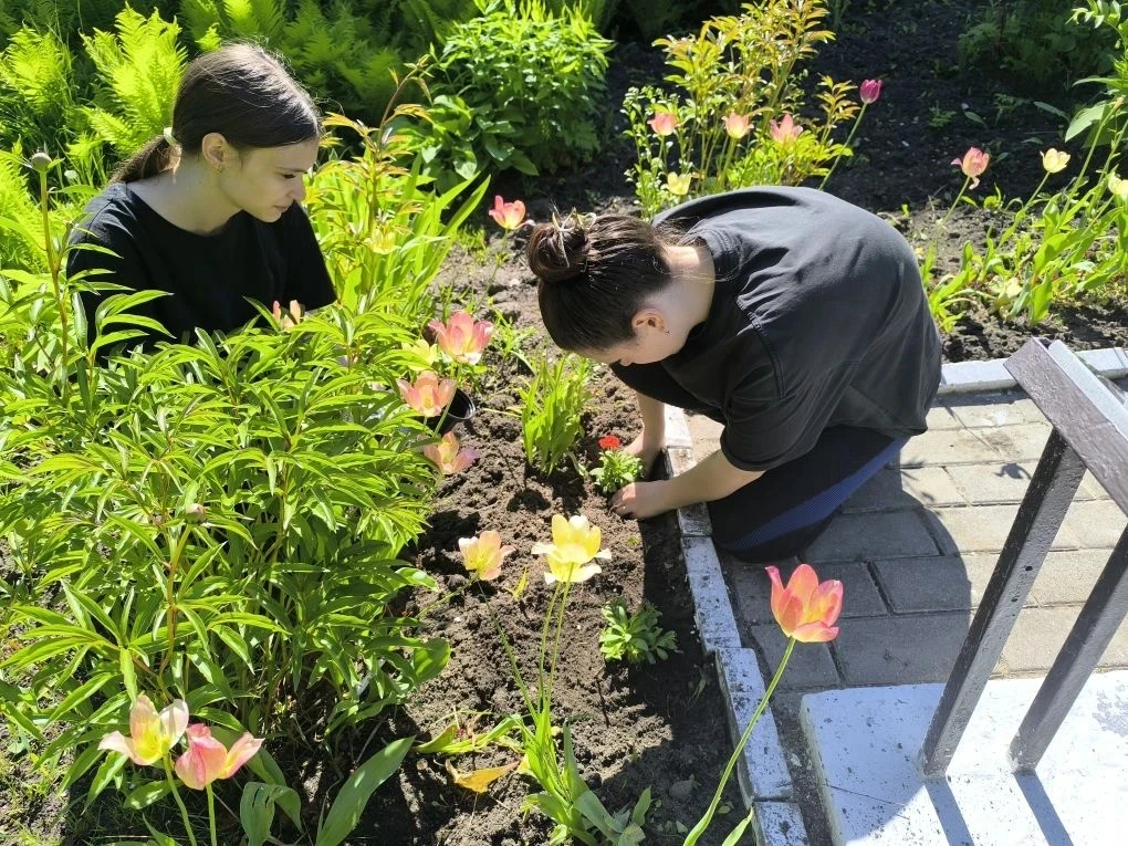 🌼Детский общественный совет при Уполномоченном по правам ребёнка в Новгородской области запустили т