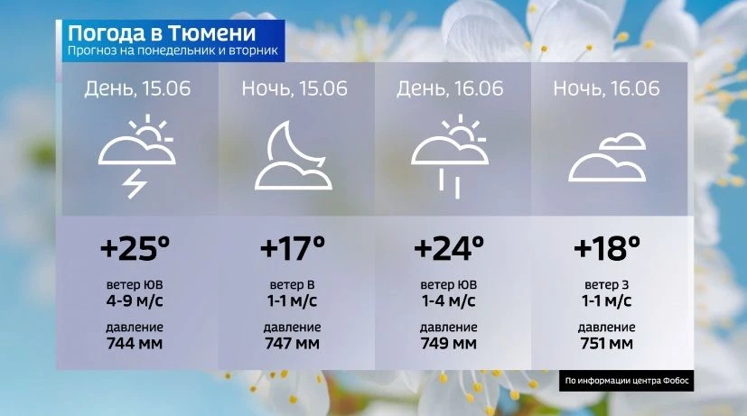 15 июня принципиальных перемен в характере погоды не ожидается. В южной части Тюменской области проя