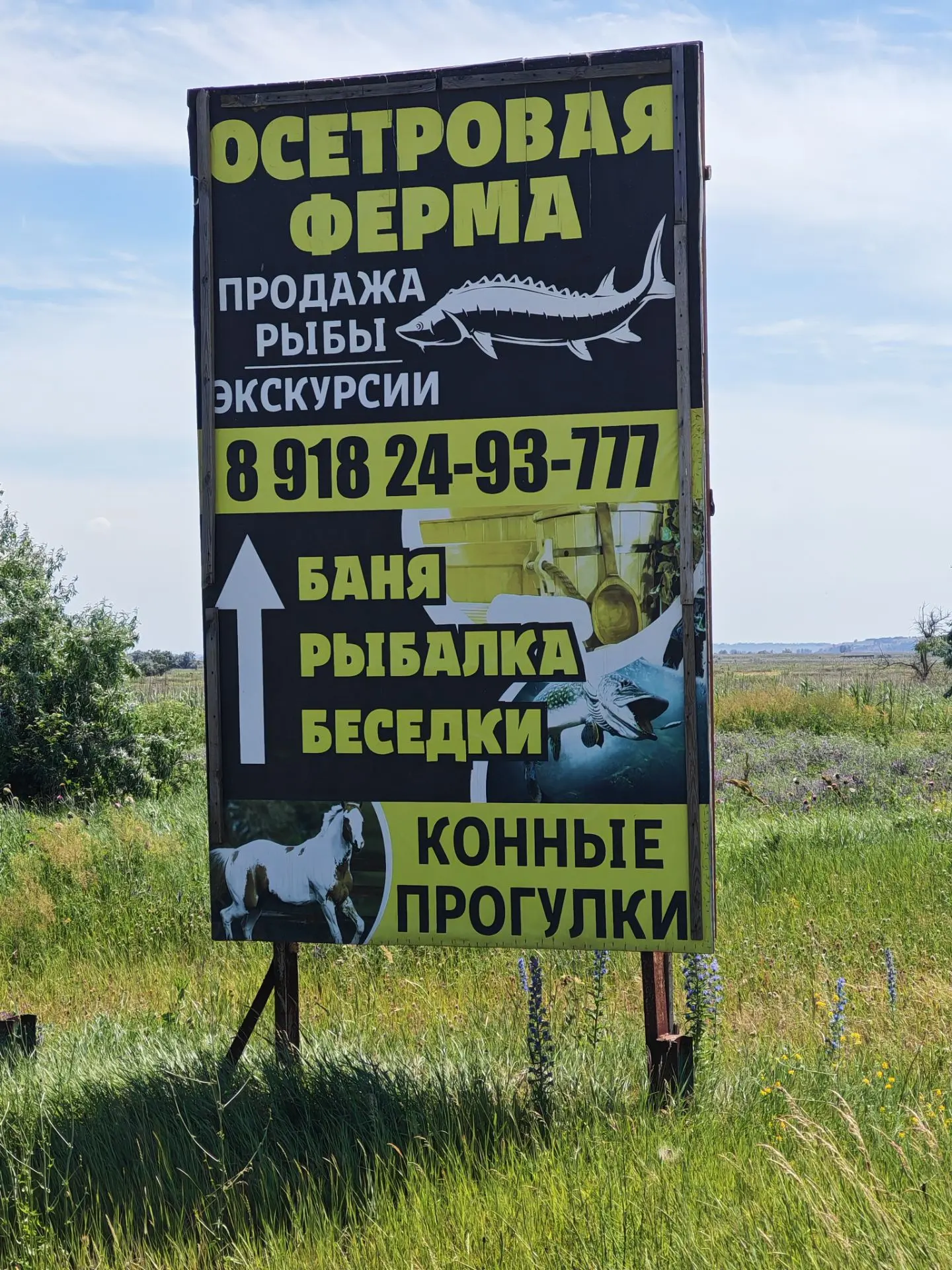 🎣 Скажете: «Осетровая ферма? А где осётр?» Да вот же он! 😄

Здесь целое царство осетров — бассейны