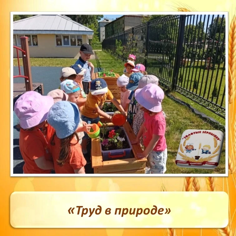Совместный труд на огороде и клумбе учит дошкольников ответственности и развивает трудовые навыки. 
