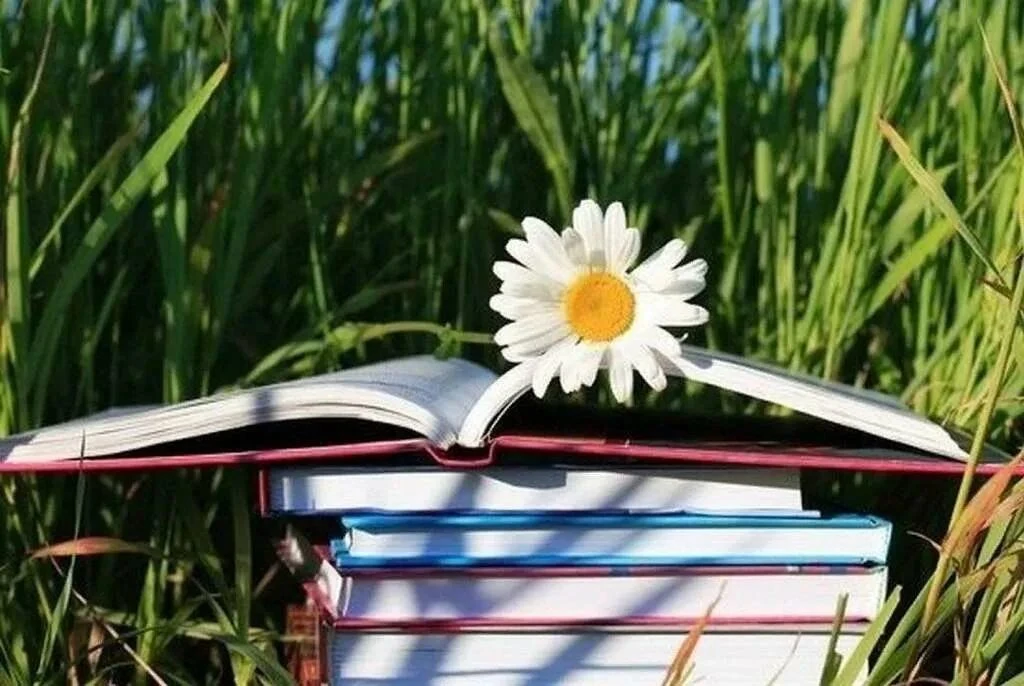 Лето — время ярких эмоций и… отличных книг! 📚
Не упускайте шанс погрузиться в новую историю на свеж