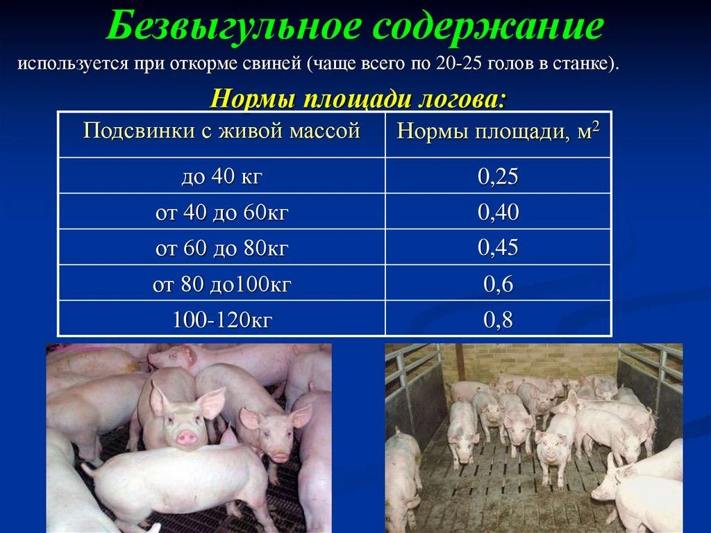 Безвыгульное содержание животных позволяет предотвратить заражение особо опасными болезнями!
Ветерин