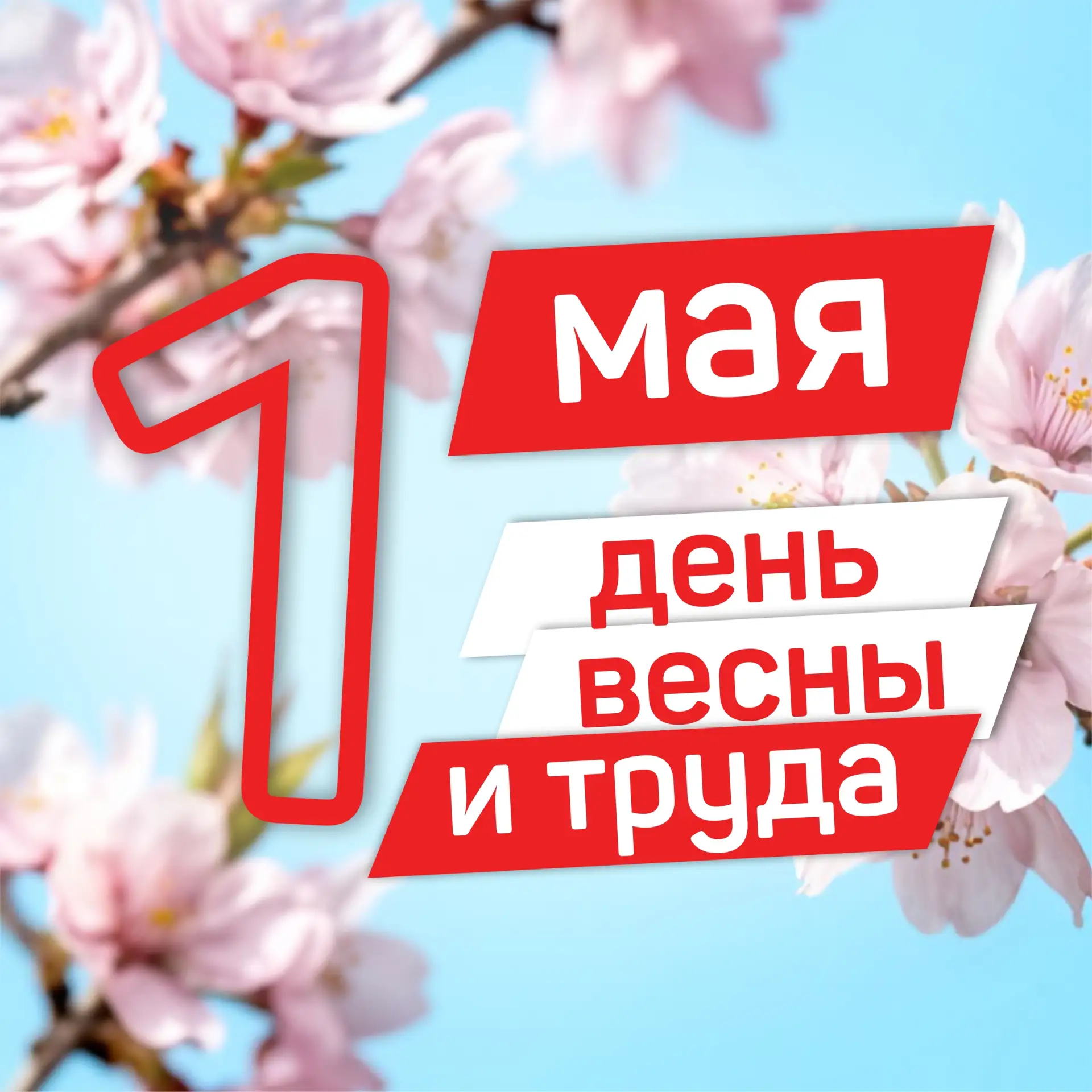 Поздравляем вас с праздником Весны и Труда! Желаем бодрости, неиссякаемой энергии и весеннего обновл