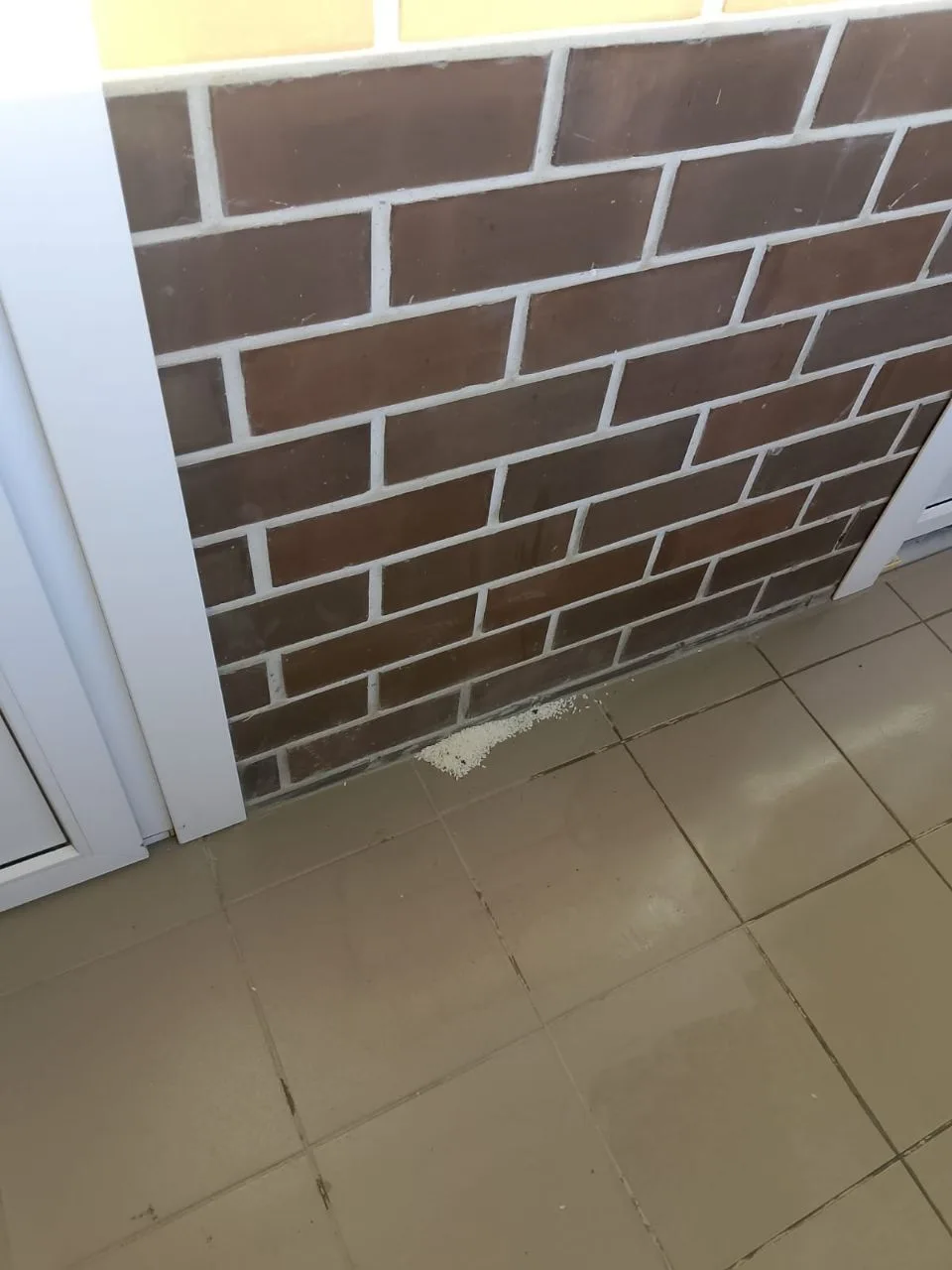 Не кормите голубей на балконах и в подъездах 🕊️🚫

📍Новороссийская, 90/2, корпус 2, подъезд 1

Ува