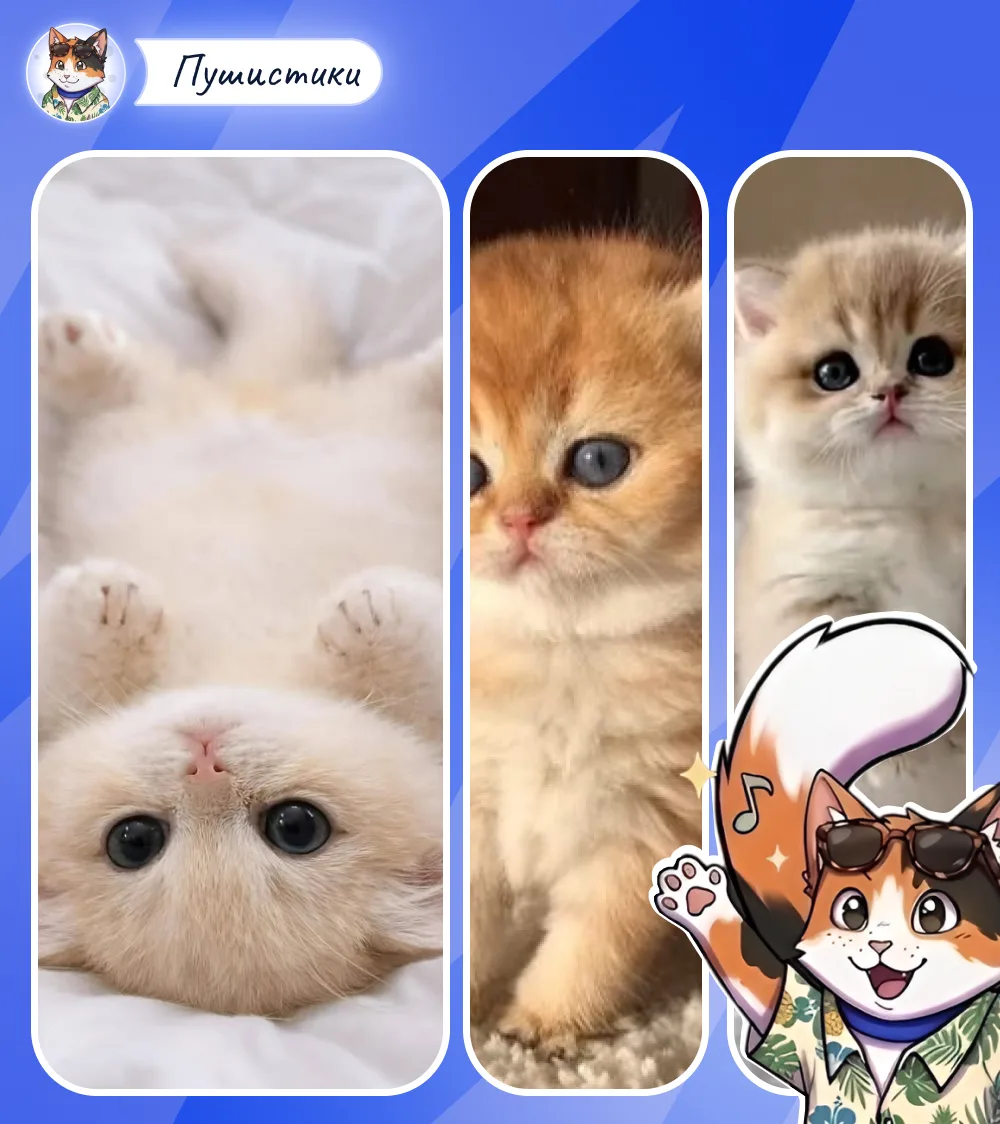 😕 Кошка спокойно лежит на диване. Хозяин проходит мимо — и в следующую секунду в его лодыжку впиваю