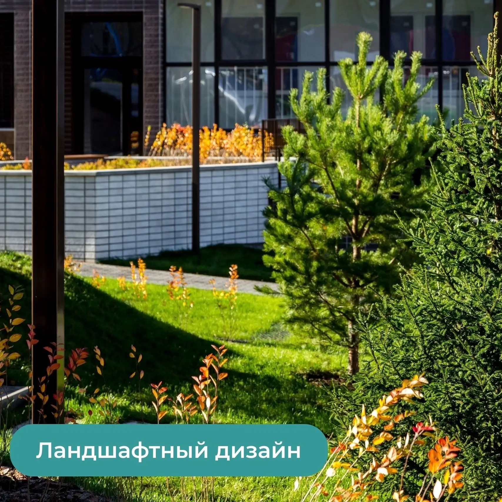 📢Внимание, нужна ваша помощь!

Деревья, кустарники, растения на придомовых территориях жилых компле