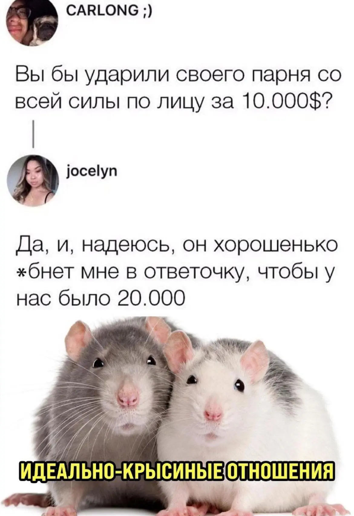 Дурилка картонная