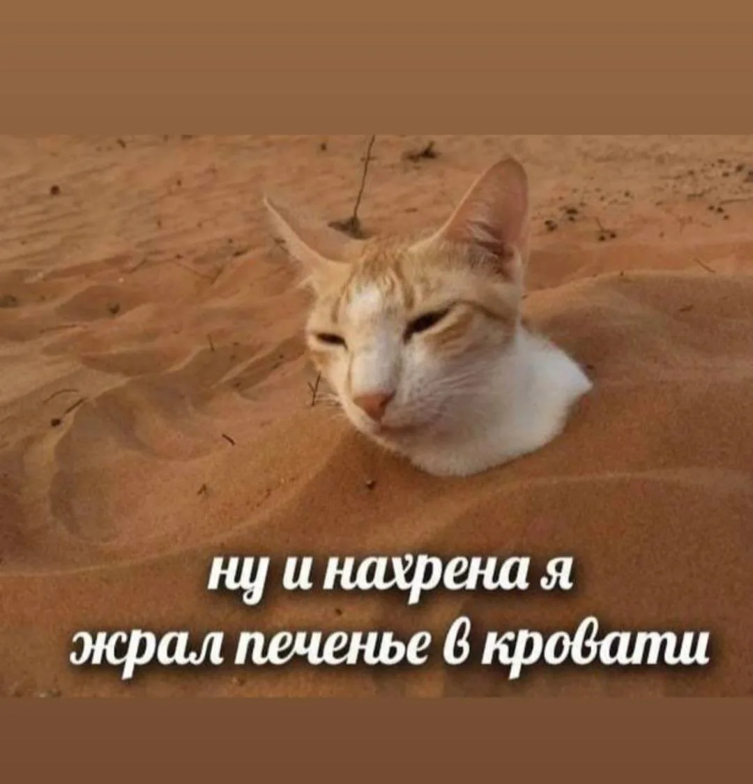 ПЯТЬ ОШИБОК 
Которые мешают похудеть:
1️⃣ Есть во время просмотра сериала или фильма. В этот момент 