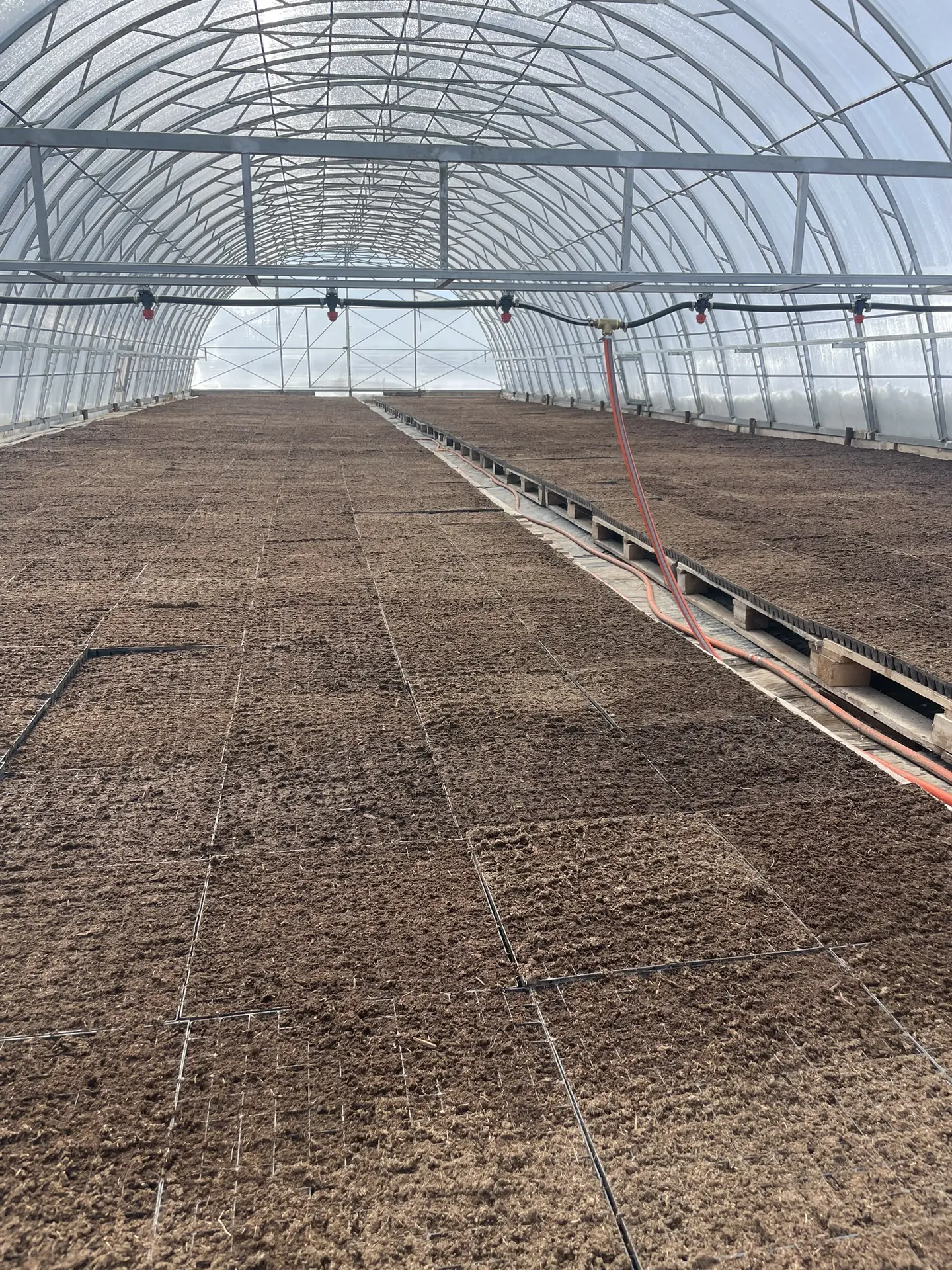 🚜 Сегодня заехали в КФХ — посмотрели, как идет процесс посева капусты 🌱
Работа кипит 💪
Подготовле