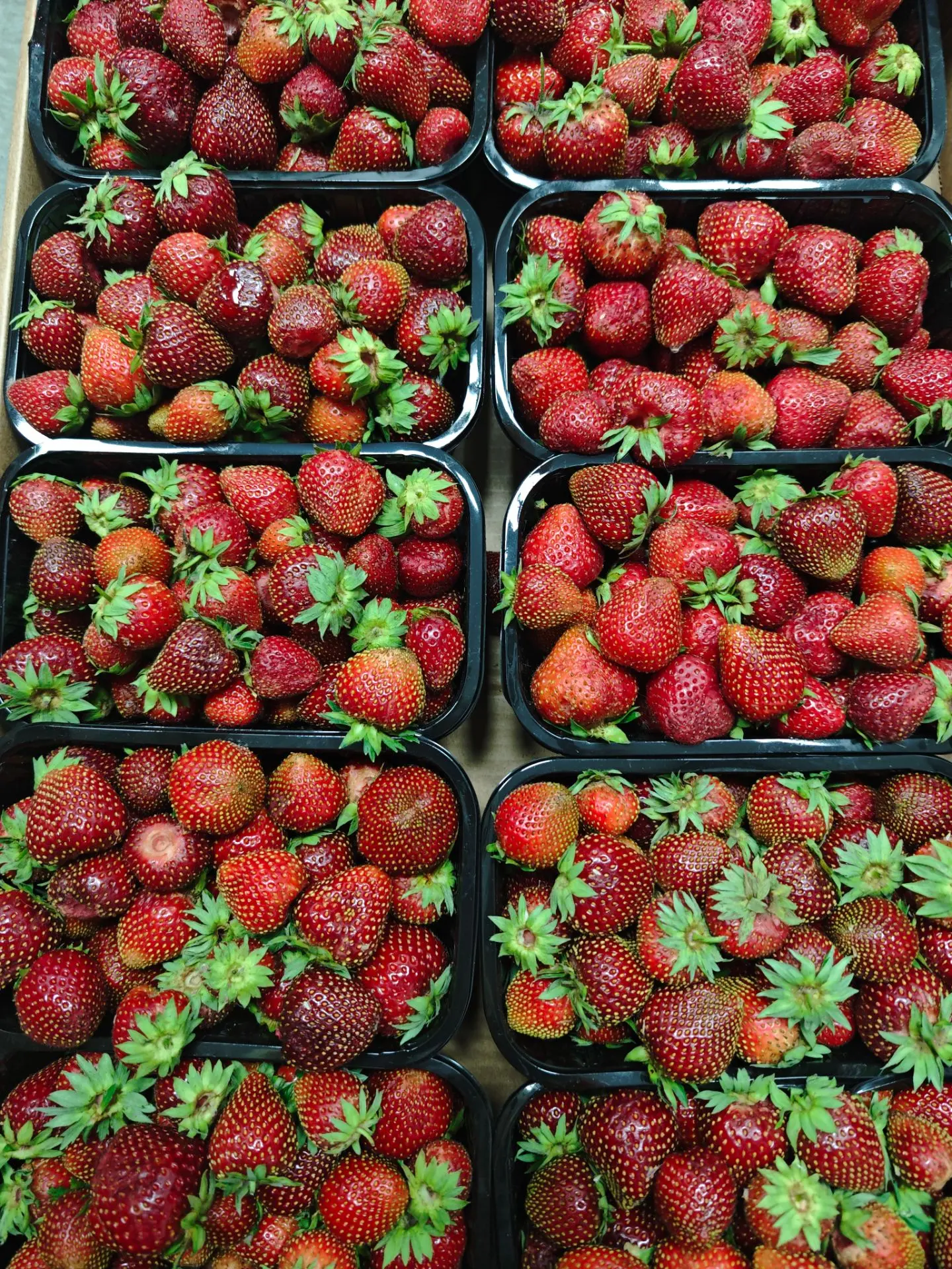 Завезли Клубнику 🍓 Домашняя Воронеж , сладкая !!! 
399₽/кг